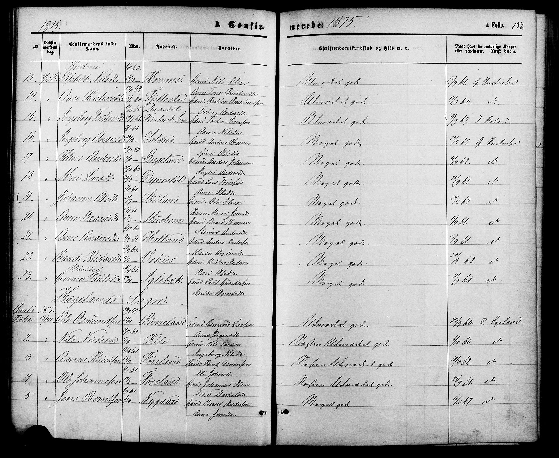 Vennesla sokneprestkontor, AV/SAK-1111-0045/Fa/Fac/L0008: Parish register (official) no. A 8, 1874-1883, p. 134