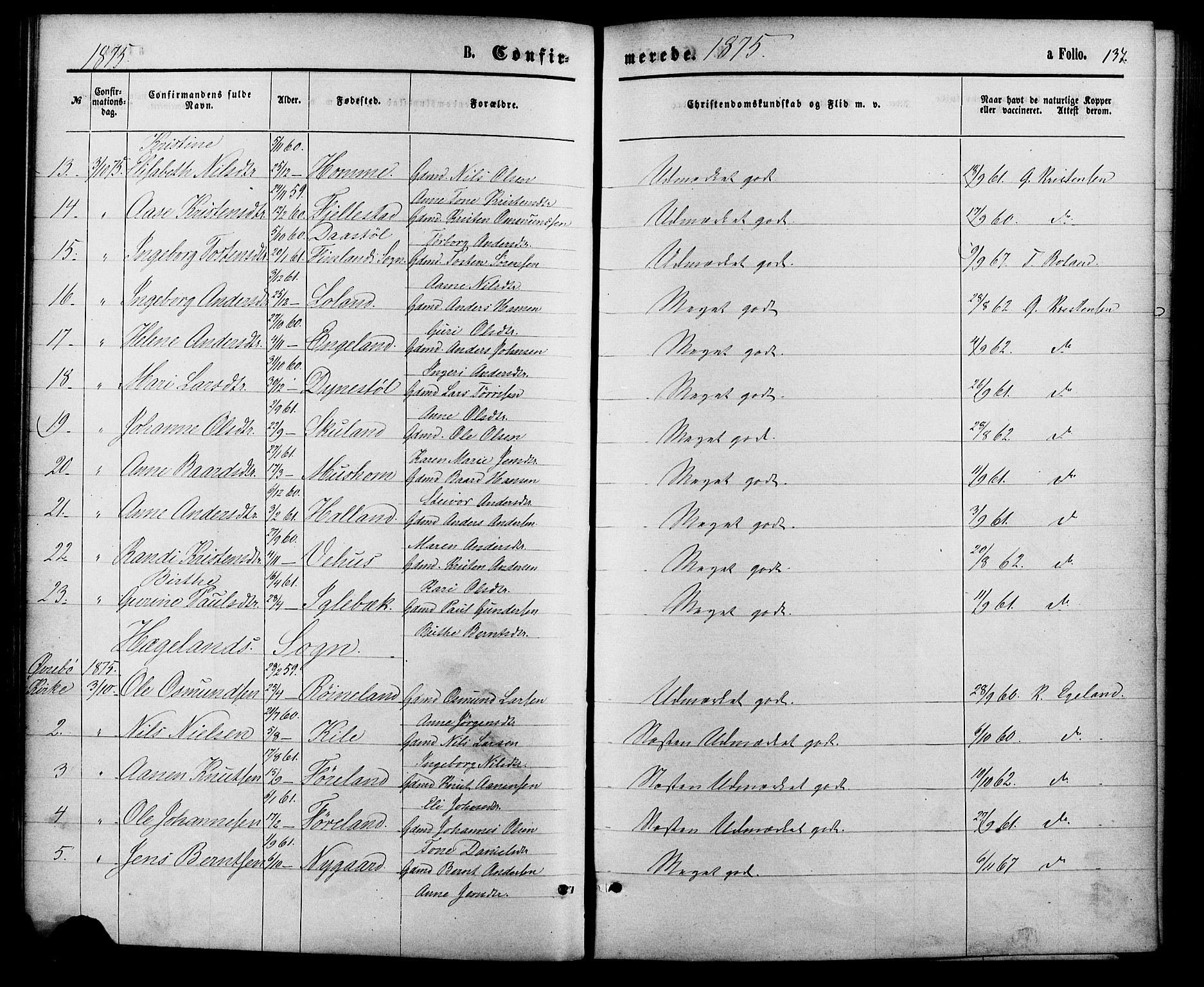 Vennesla sokneprestkontor, AV/SAK-1111-0045/Fa/Fac/L0008: Parish register (official) no. A 8, 1874-1883, p. 134