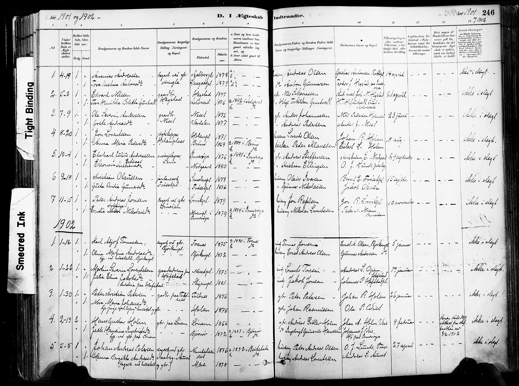 Ministerialprotokoller, klokkerbøker og fødselsregistre - Nord-Trøndelag, SAT/A-1458/735/L0351: Parish register (official) no. 735A10, 1884-1908, p. 246