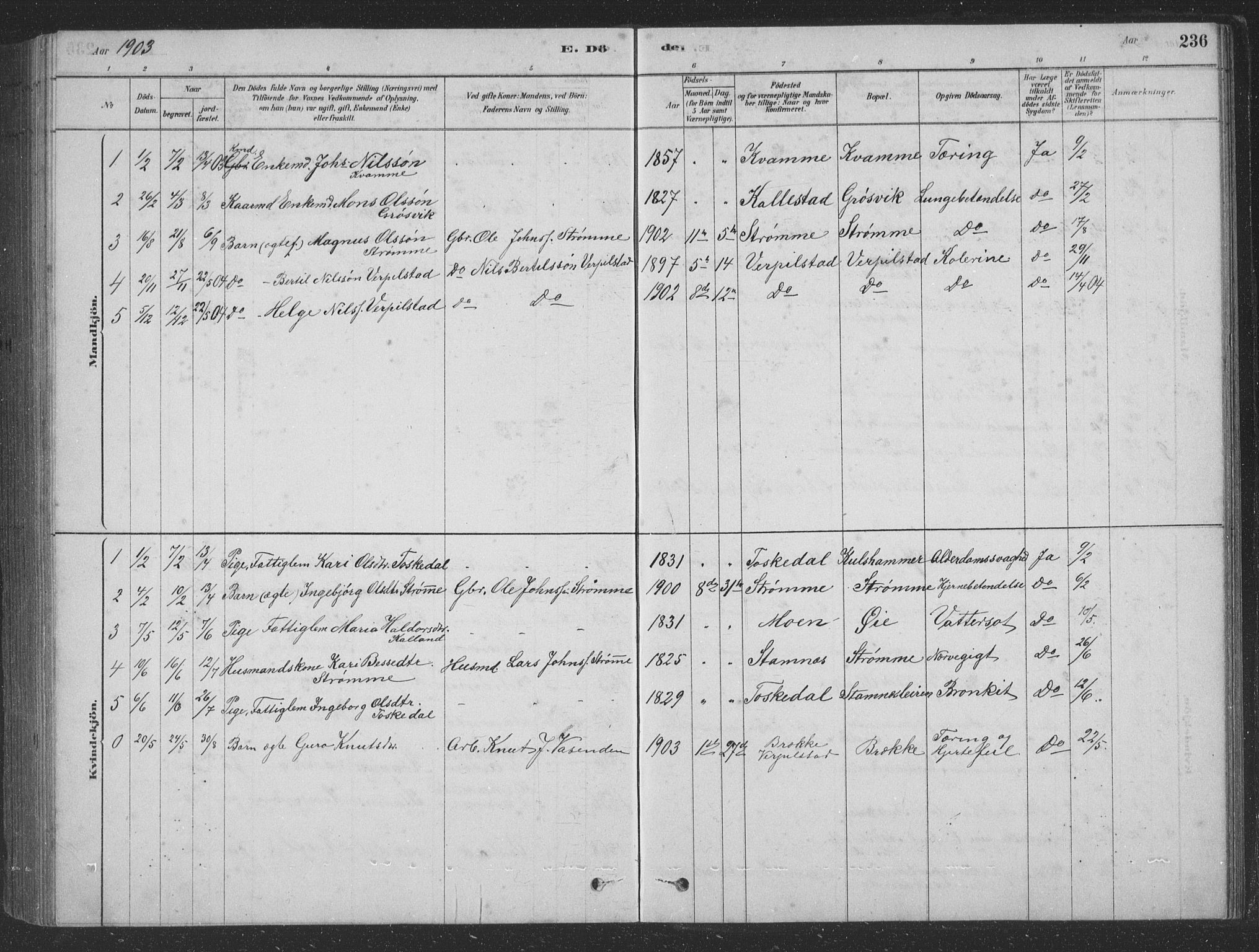 Vaksdal Sokneprestembete, SAB/A-78901/H/Hab: Parish register (copy) no. D 1, 1878-1939, p. 236