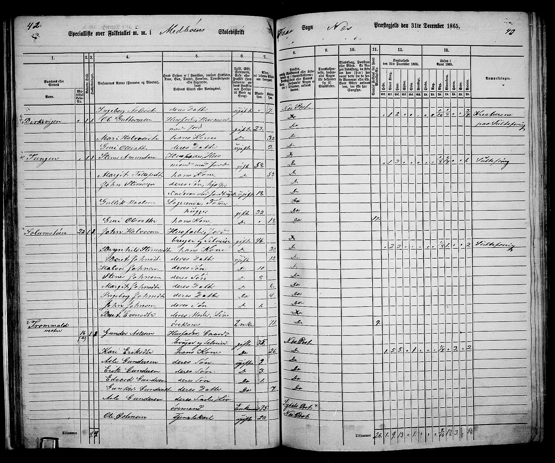 RA, 1865 census for Nes, 1865, p. 39