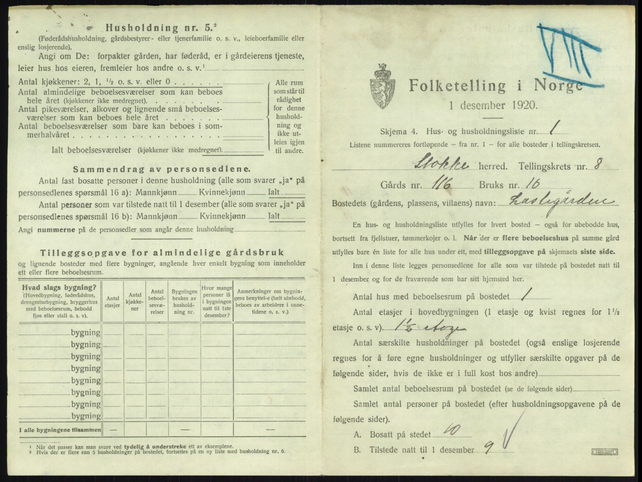 SAKO, 1920 census for Stokke, 1920, p. 1460