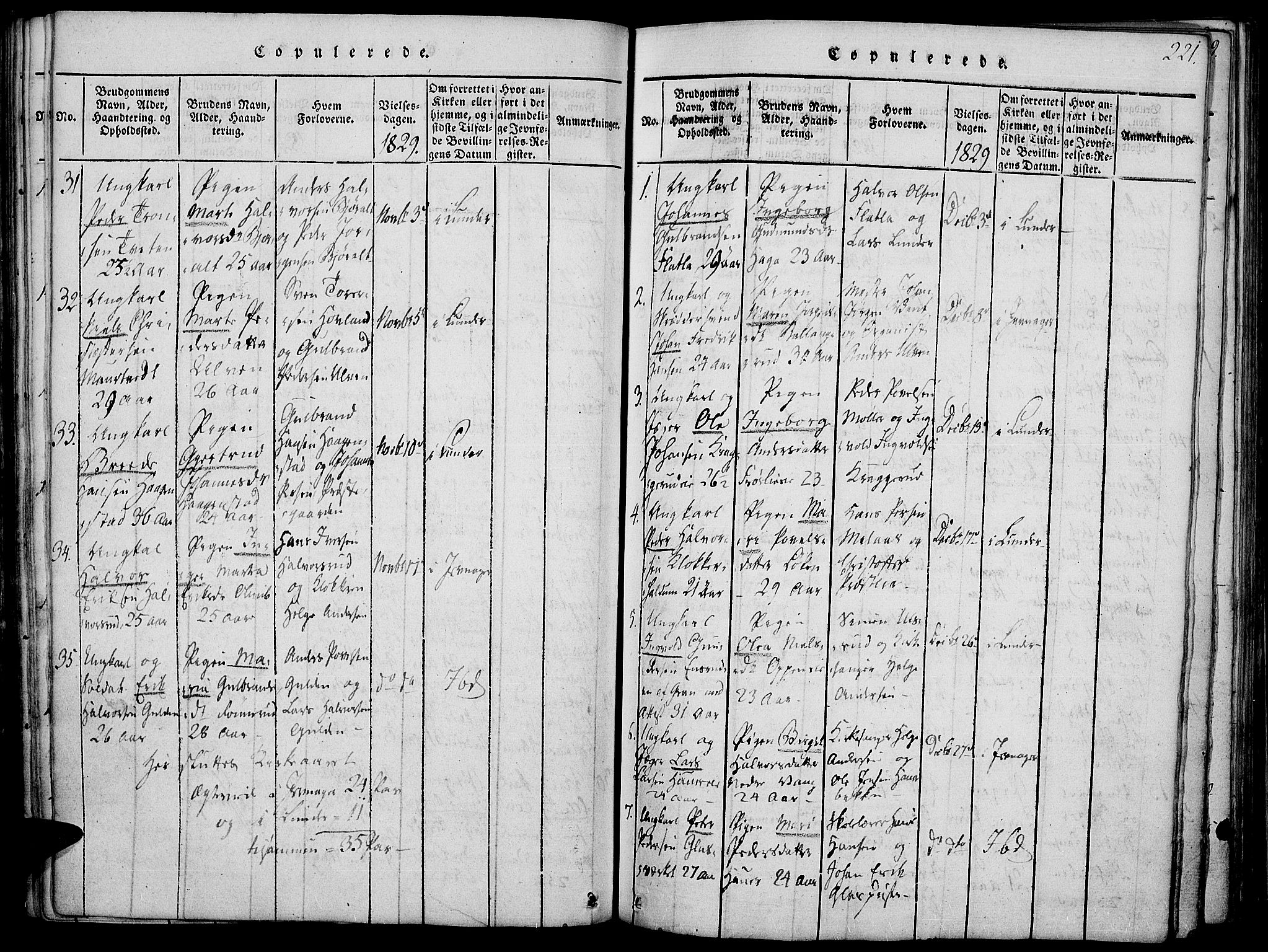 Jevnaker prestekontor, SAH/PREST-116/H/Ha/Haa/L0005: Parish register (official) no. 5, 1815-1837, p. 221