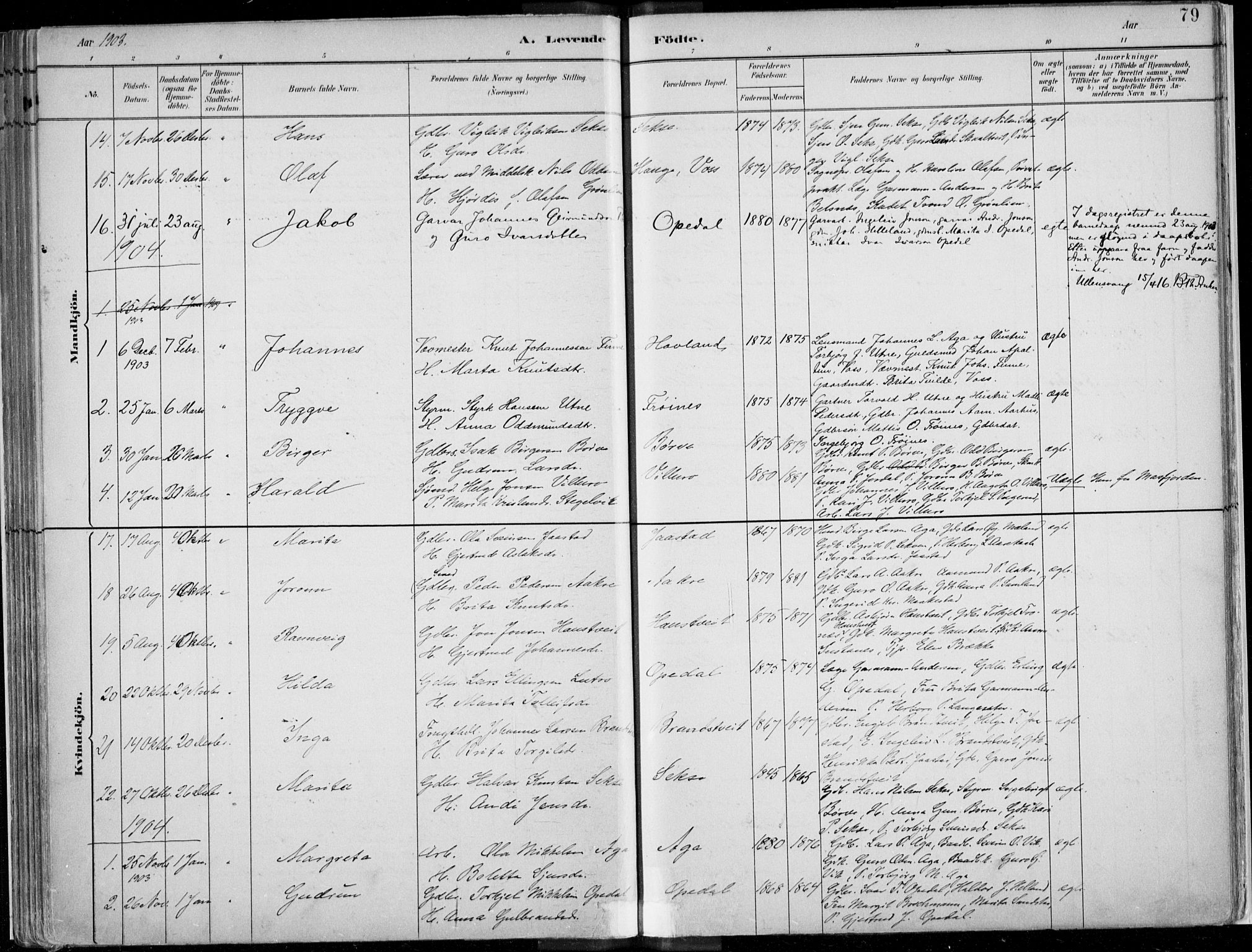 Ullensvang sokneprestembete, SAB/A-78701/H/Haa: Parish register (official) no. B  1, 1882-1918, p. 79