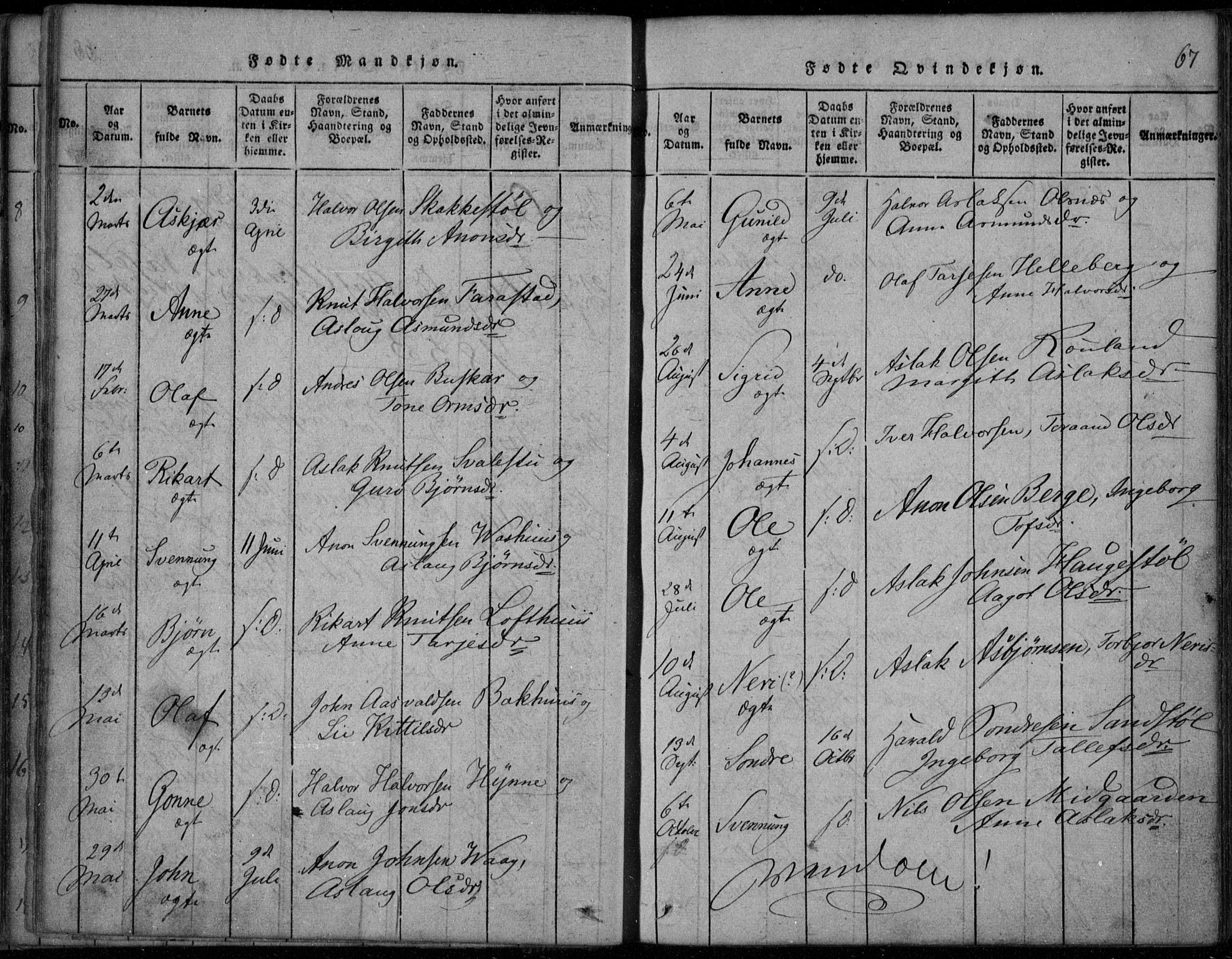 Rauland kirkebøker, AV/SAKO-A-292/F/Fa/L0001: Parish register (official) no. I 1, 1814-1859, p. 67