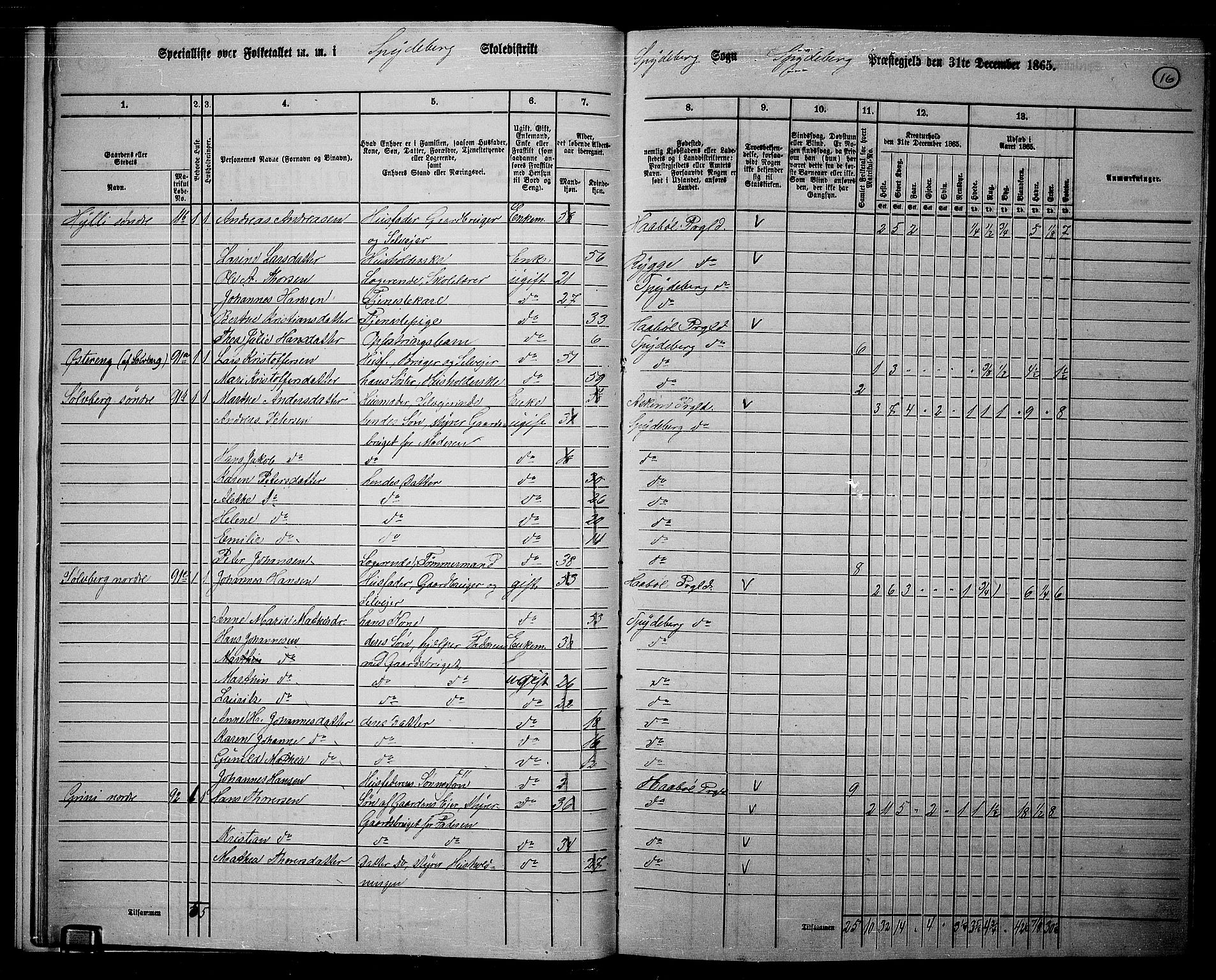 RA, 1865 census for Spydeberg, 1865, p. 15