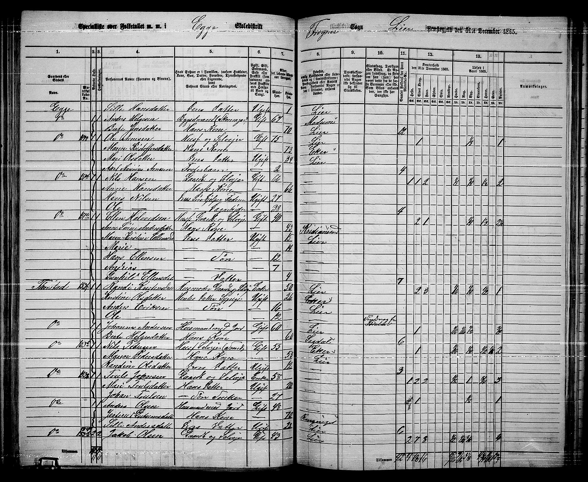 RA, 1865 census for Lier, 1865, p. 89