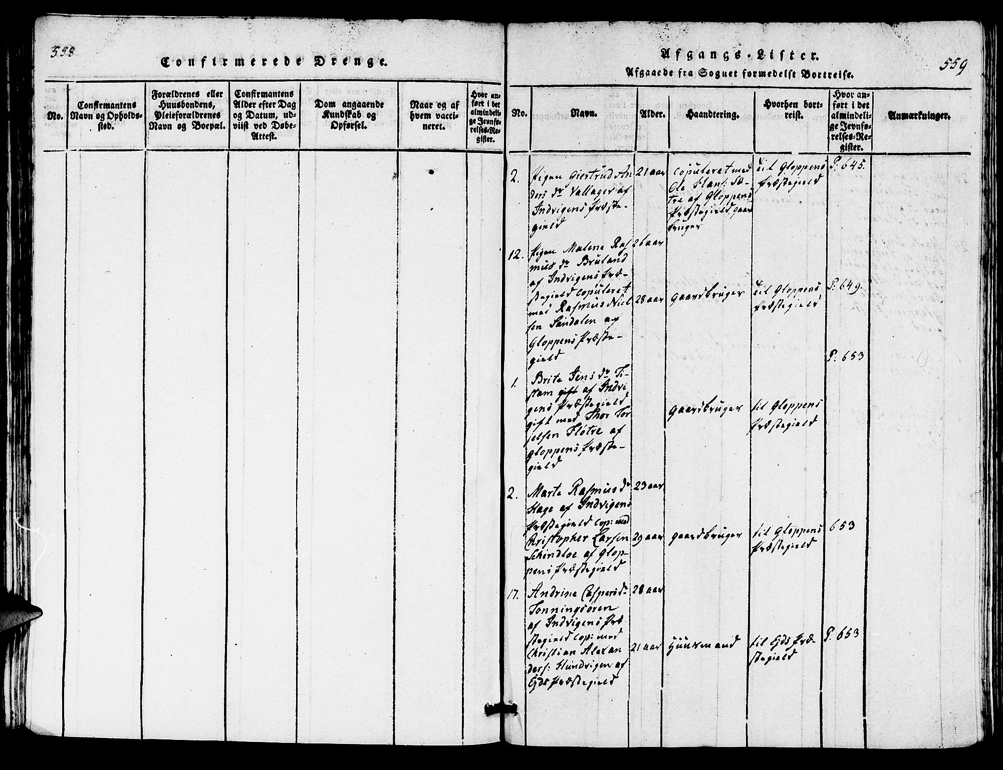 Innvik sokneprestembete, AV/SAB-A-80501: Parish register (copy) no. C 1, 1816-1820, p. 558-559