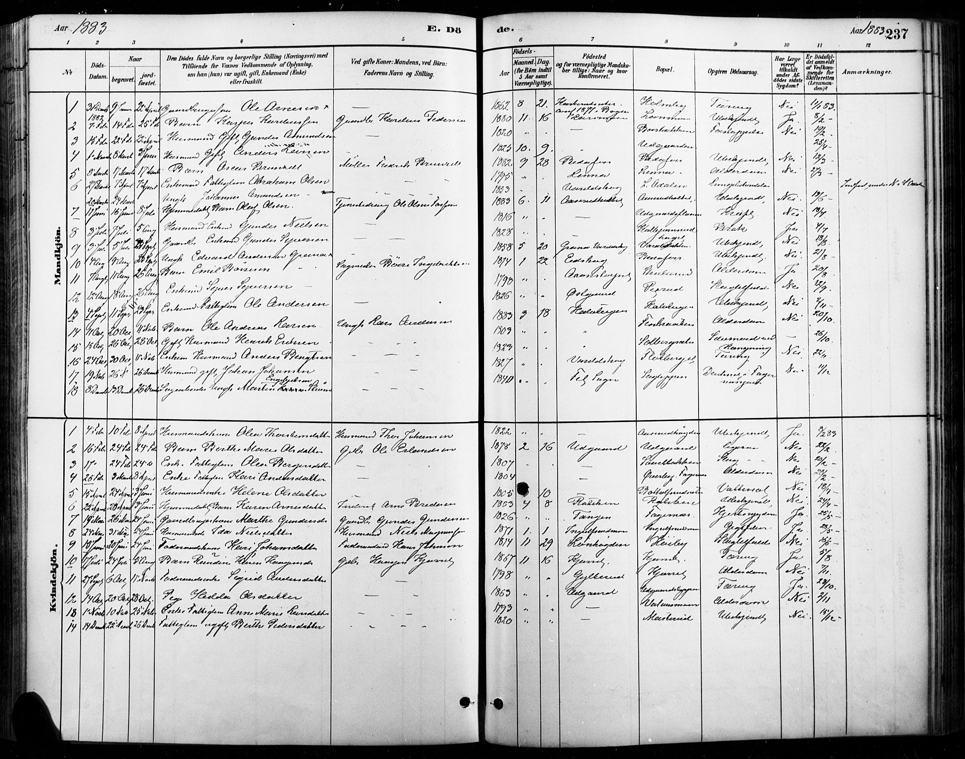 Vinger prestekontor, AV/SAH-PREST-024/H/Ha/Haa/L0015: Parish register (official) no. 15, 1881-1900, p. 237