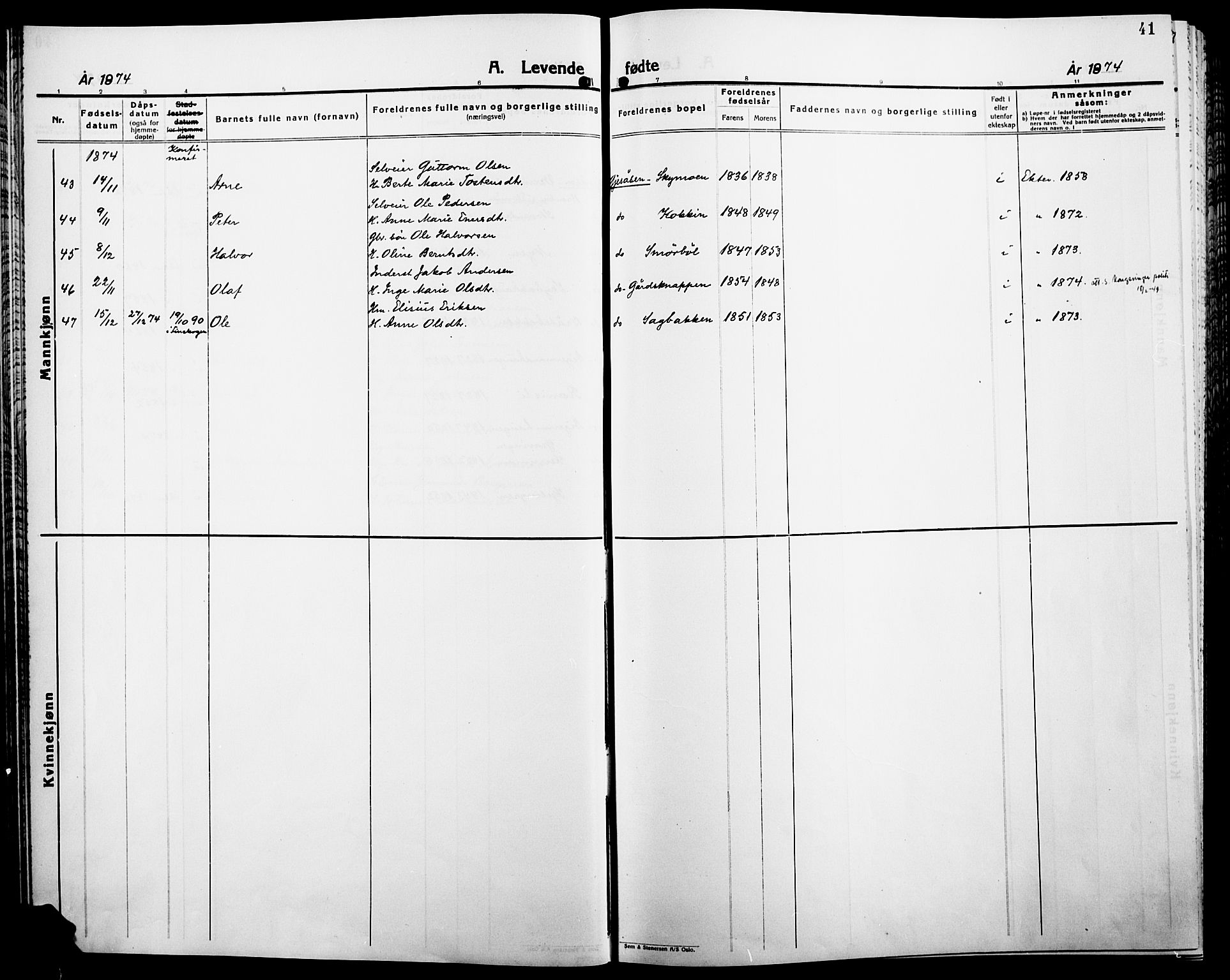 Åsnes prestekontor, AV/SAH-PREST-042/H/Ha/Haa/L0000B: Parish register (official), 1870-1889, p. 41