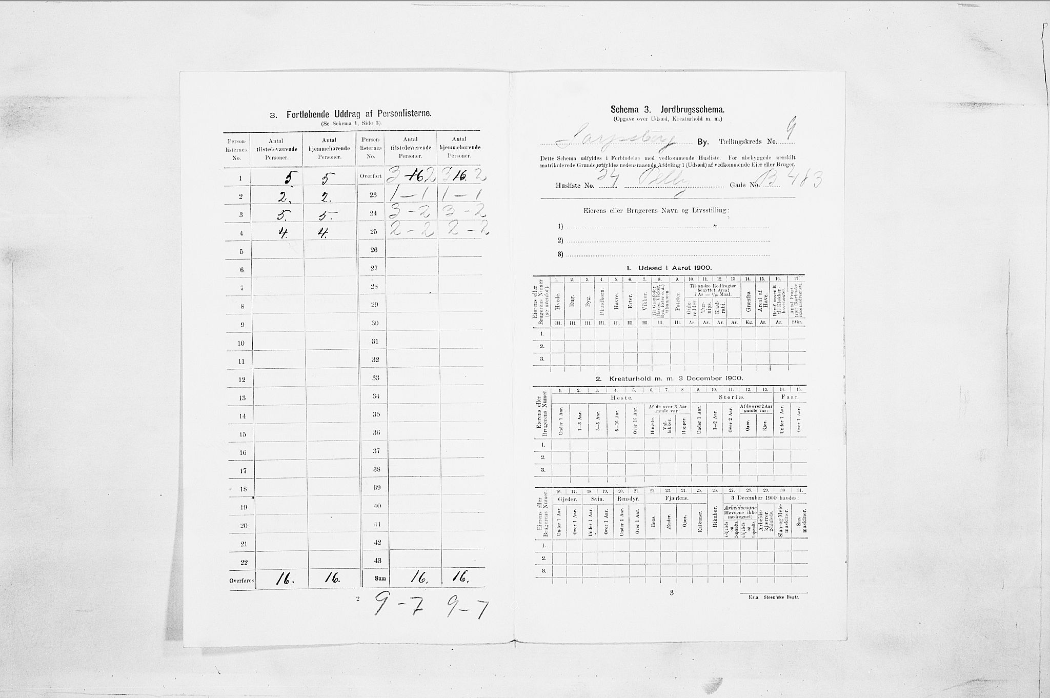 SAO, 1900 census for Sarpsborg, 1900