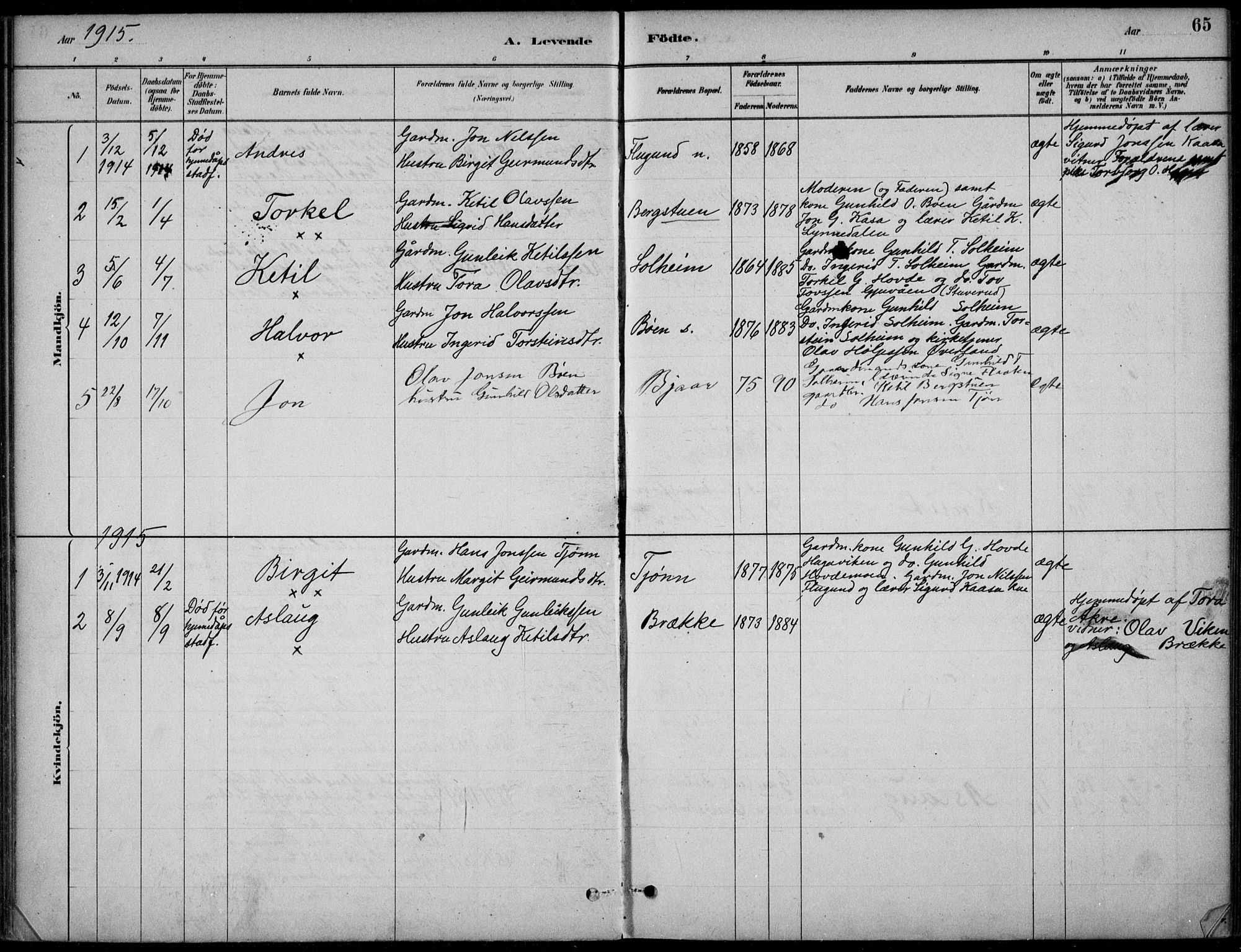 Hjartdal kirkebøker, SAKO/A-270/F/Fc/L0002: Parish register (official) no. III 2, 1880-1936, p. 65