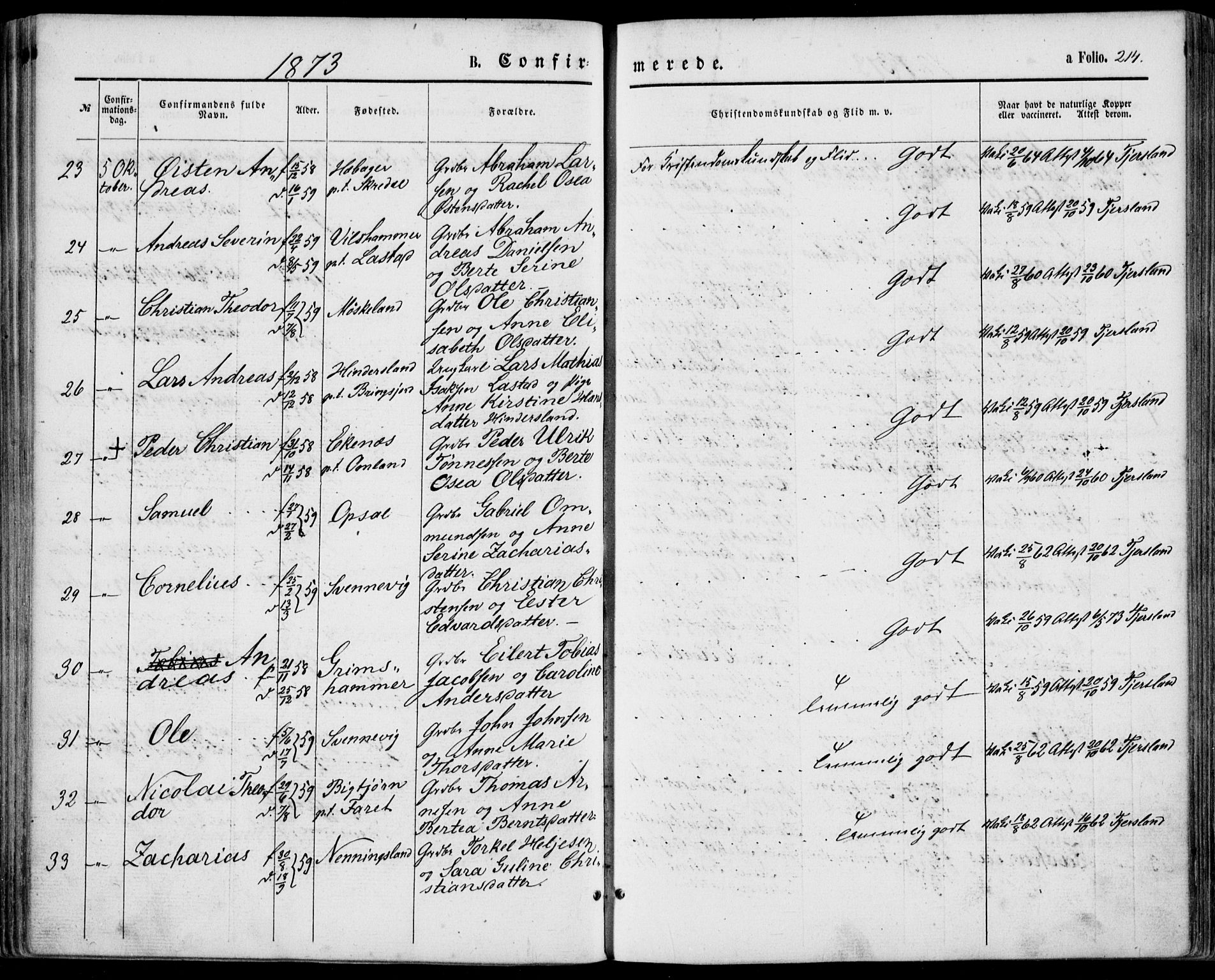 Lyngdal sokneprestkontor, AV/SAK-1111-0029/F/Fa/Fac/L0010: Parish register (official) no. A 10, 1865-1878, p. 214