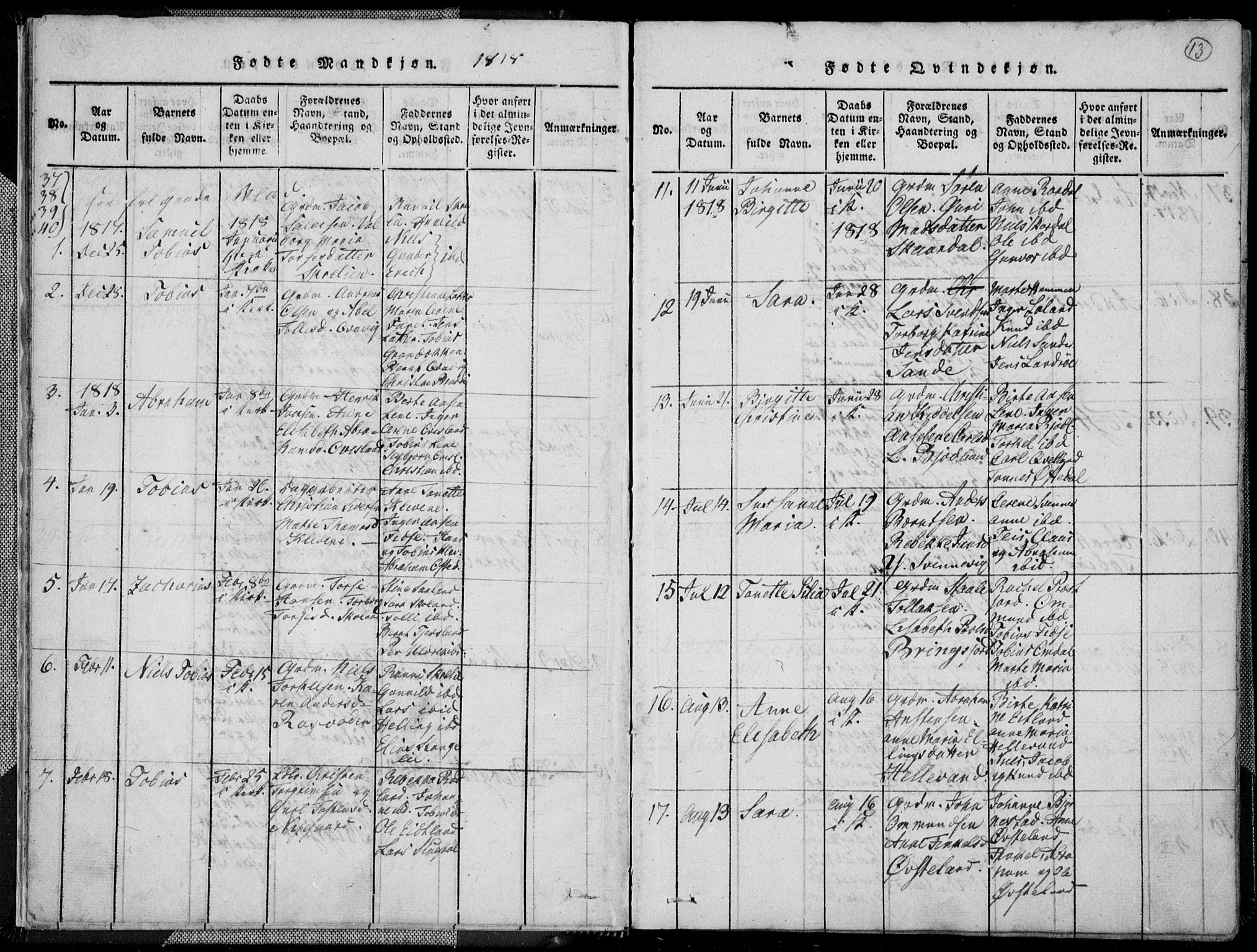 Lyngdal sokneprestkontor, AV/SAK-1111-0029/F/Fa/Fac/L0006: Parish register (official) no. A 6, 1815-1825, p. 13