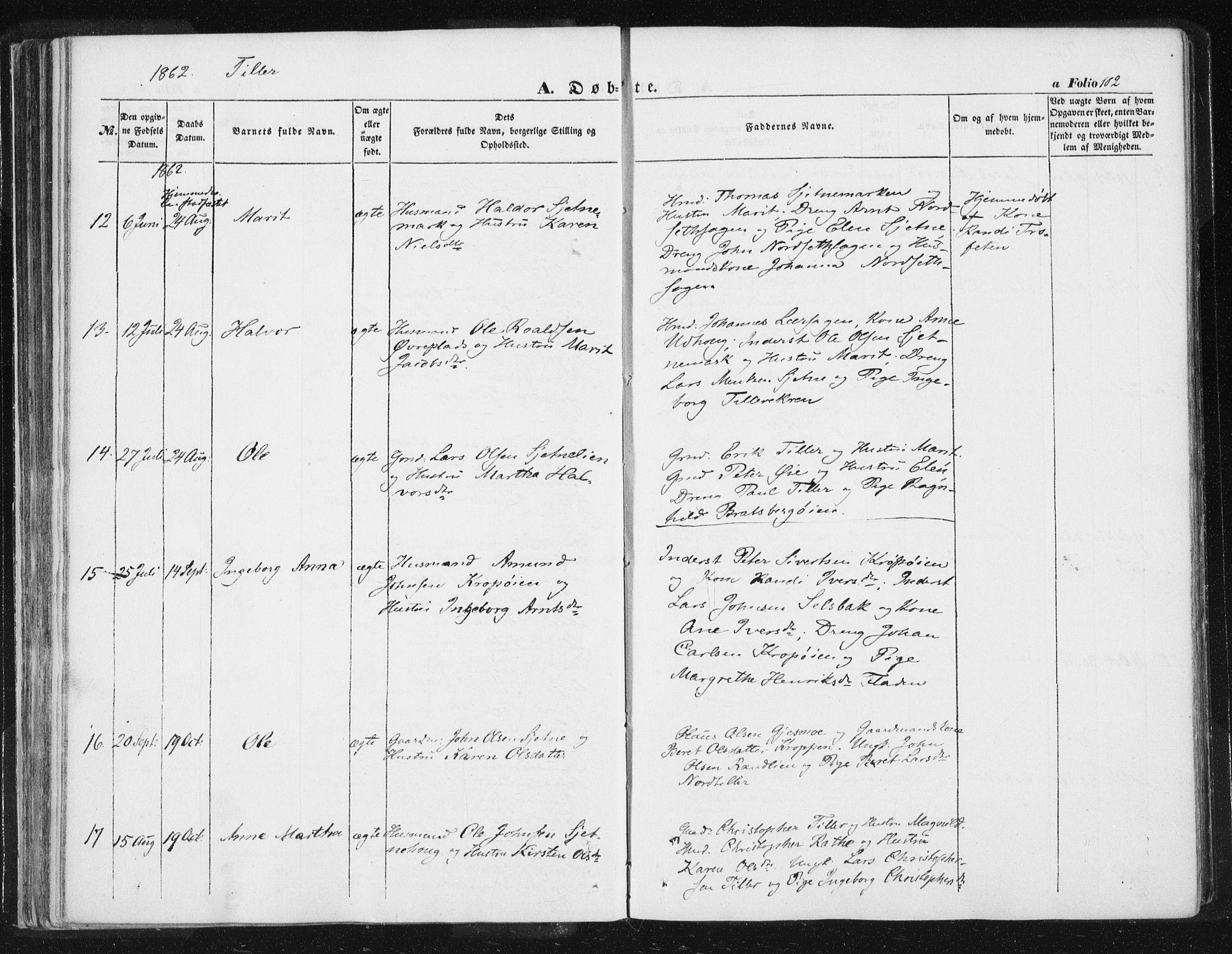 Ministerialprotokoller, klokkerbøker og fødselsregistre - Sør-Trøndelag, AV/SAT-A-1456/618/L0441: Parish register (official) no. 618A05, 1843-1862, p. 102