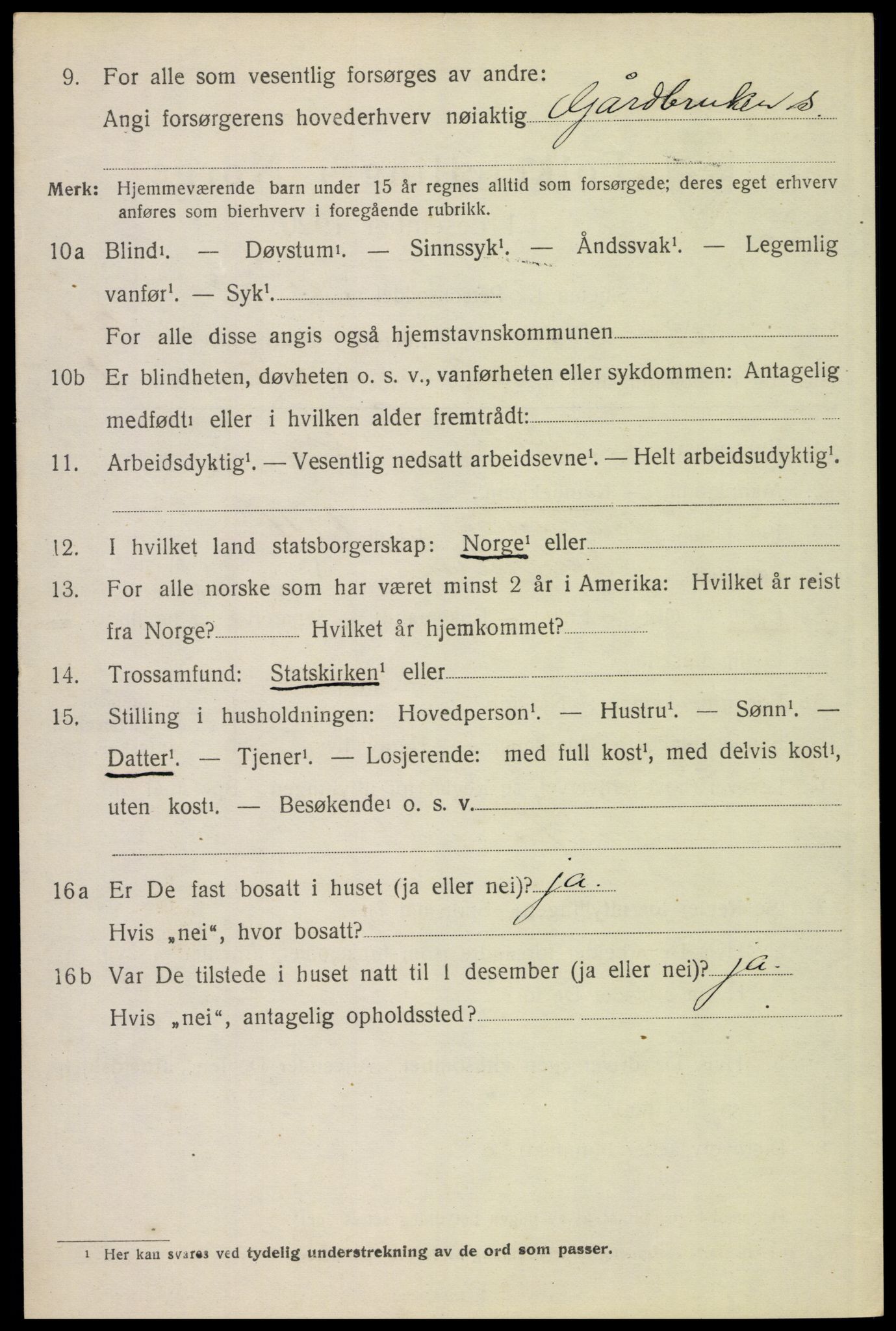 SAH, 1920 census for Elverum, 1920, p. 26217