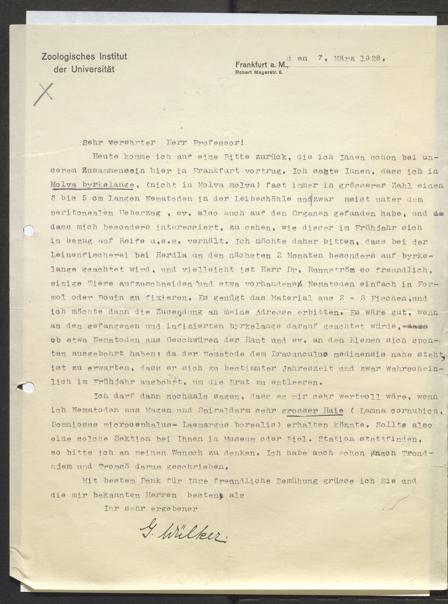 Bergens Museum, AV/SAB-A-17301/13/D/L0002: Korrespondanse , 1928-1940, p. 308