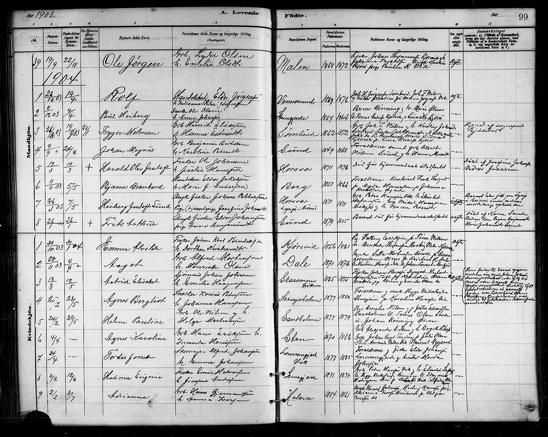 Ministerialprotokoller, klokkerbøker og fødselsregistre - Nordland, SAT/A-1459/812/L0188: Parish register (copy) no. 812C06, 1884-1912, p. 99