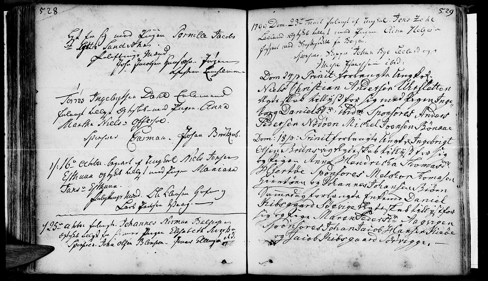 Ministerialprotokoller, klokkerbøker og fødselsregistre - Nordland, AV/SAT-A-1459/830/L0436: Parish register (official) no. 830A05 /1, 1737-1804, p. 528-529