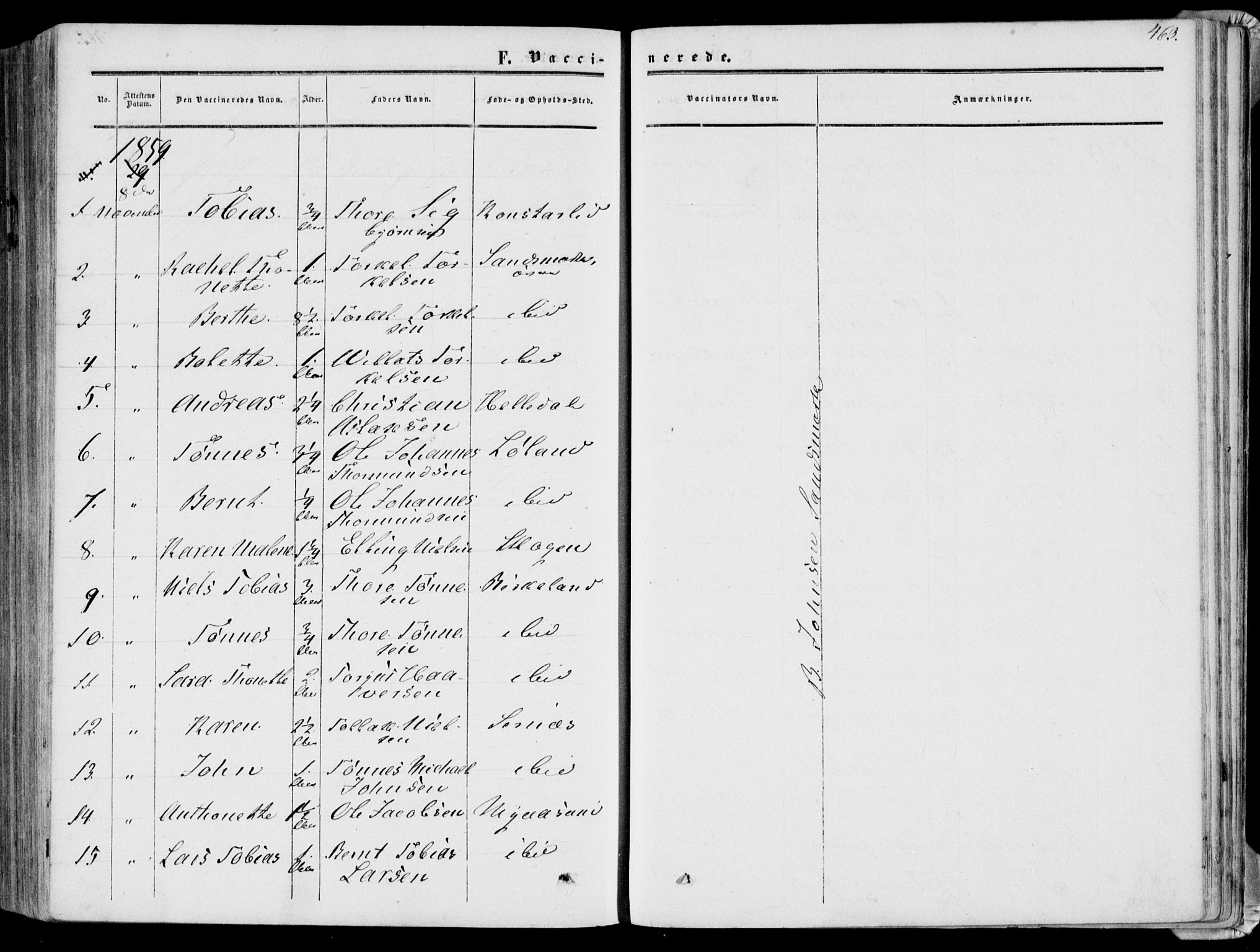 Bakke sokneprestkontor, AV/SAK-1111-0002/F/Fa/Faa/L0006: Parish register (official) no. A 6, 1855-1877, p. 463