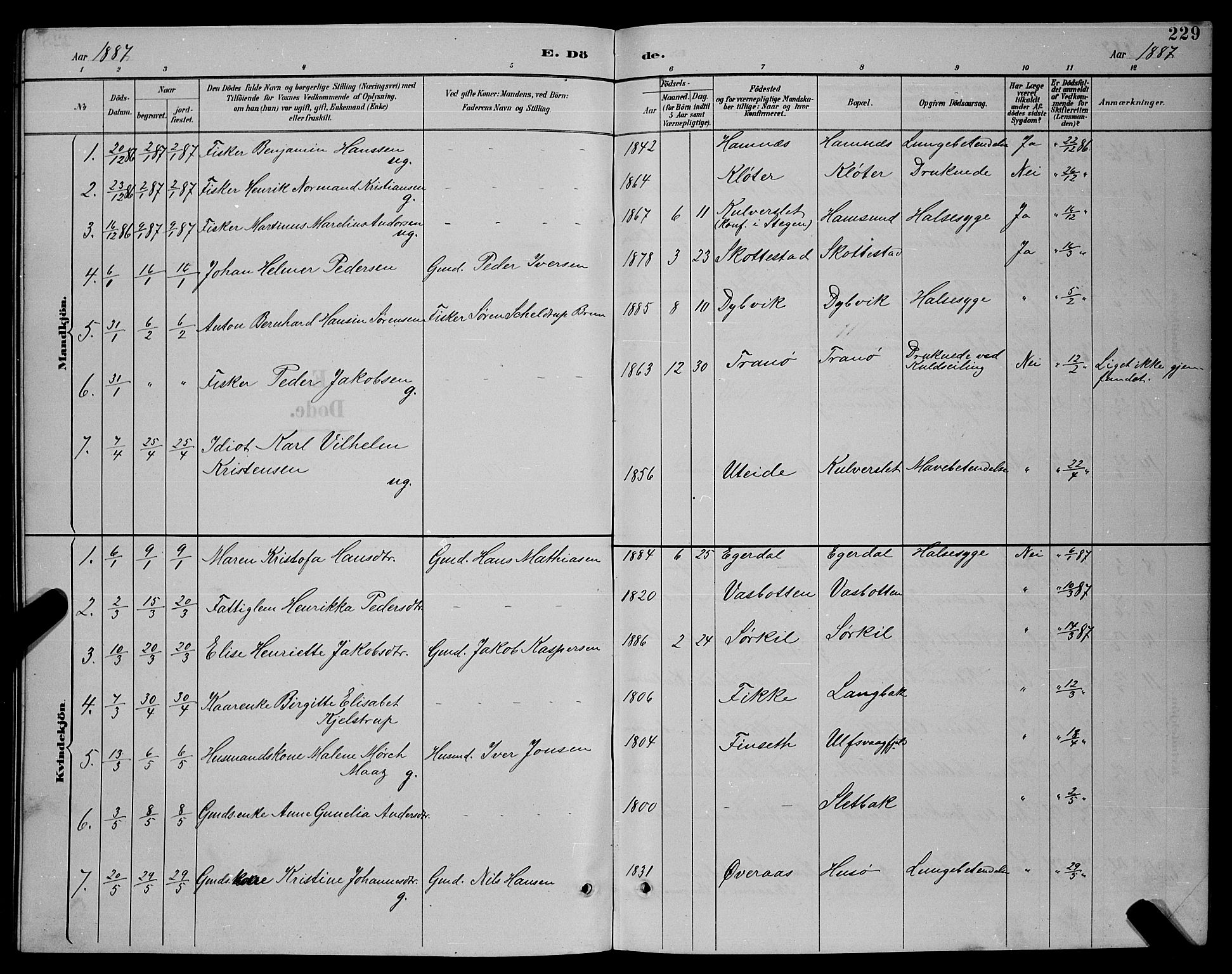 Ministerialprotokoller, klokkerbøker og fødselsregistre - Nordland, AV/SAT-A-1459/859/L0859: Parish register (copy) no. 859C05, 1887-1898, p. 229