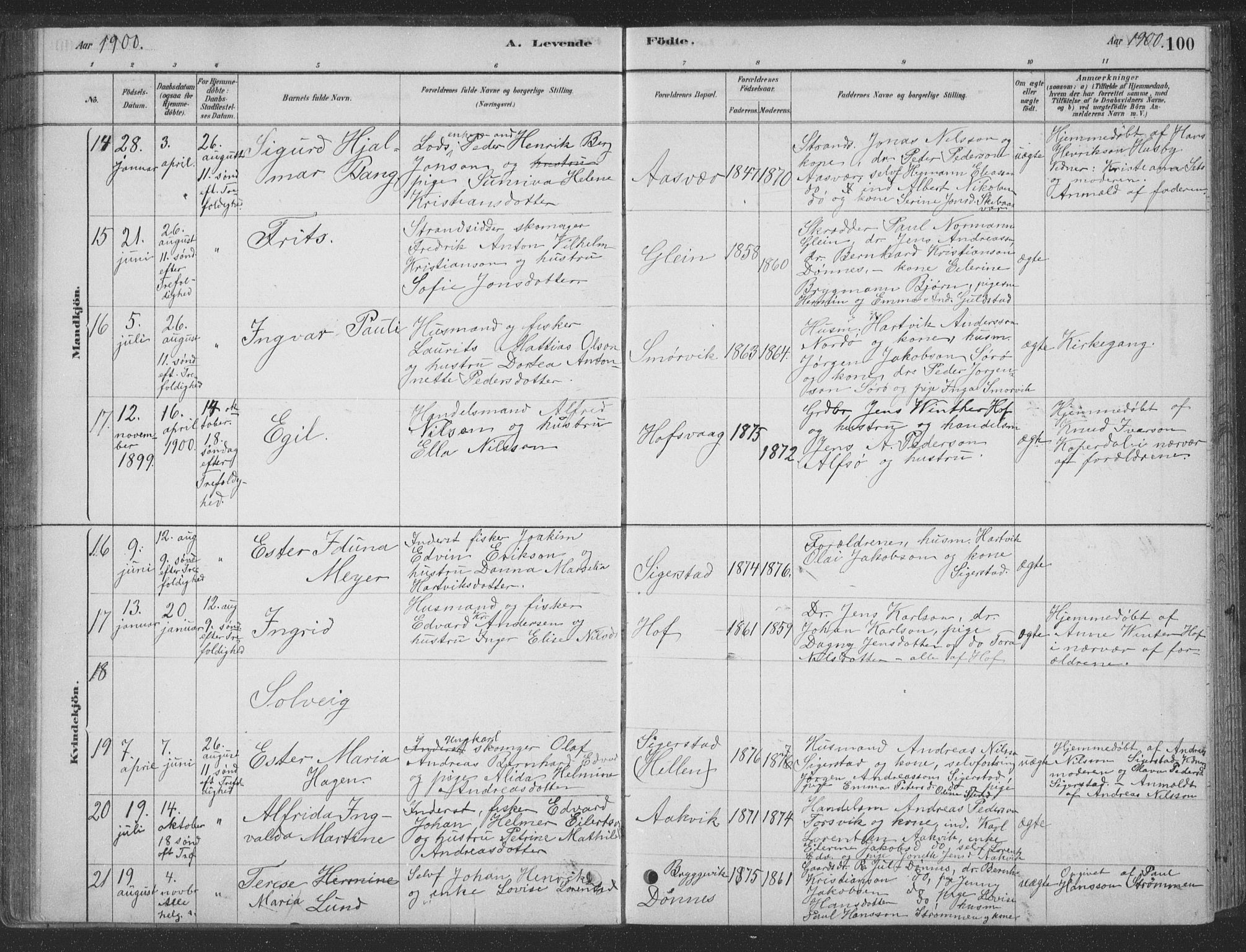 Ministerialprotokoller, klokkerbøker og fødselsregistre - Nordland, SAT/A-1459/835/L0532: Parish register (copy) no. 835C04, 1880-1905, p. 100