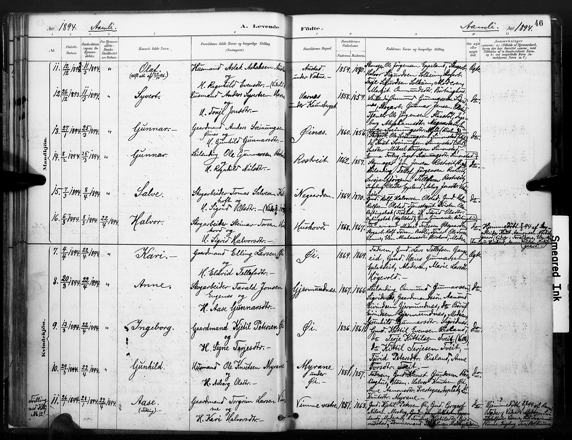 Åmli sokneprestkontor, AV/SAK-1111-0050/F/Fa/Fac/L0010: Parish register (official) no. A 10 /1, 1885-1899, p. 46