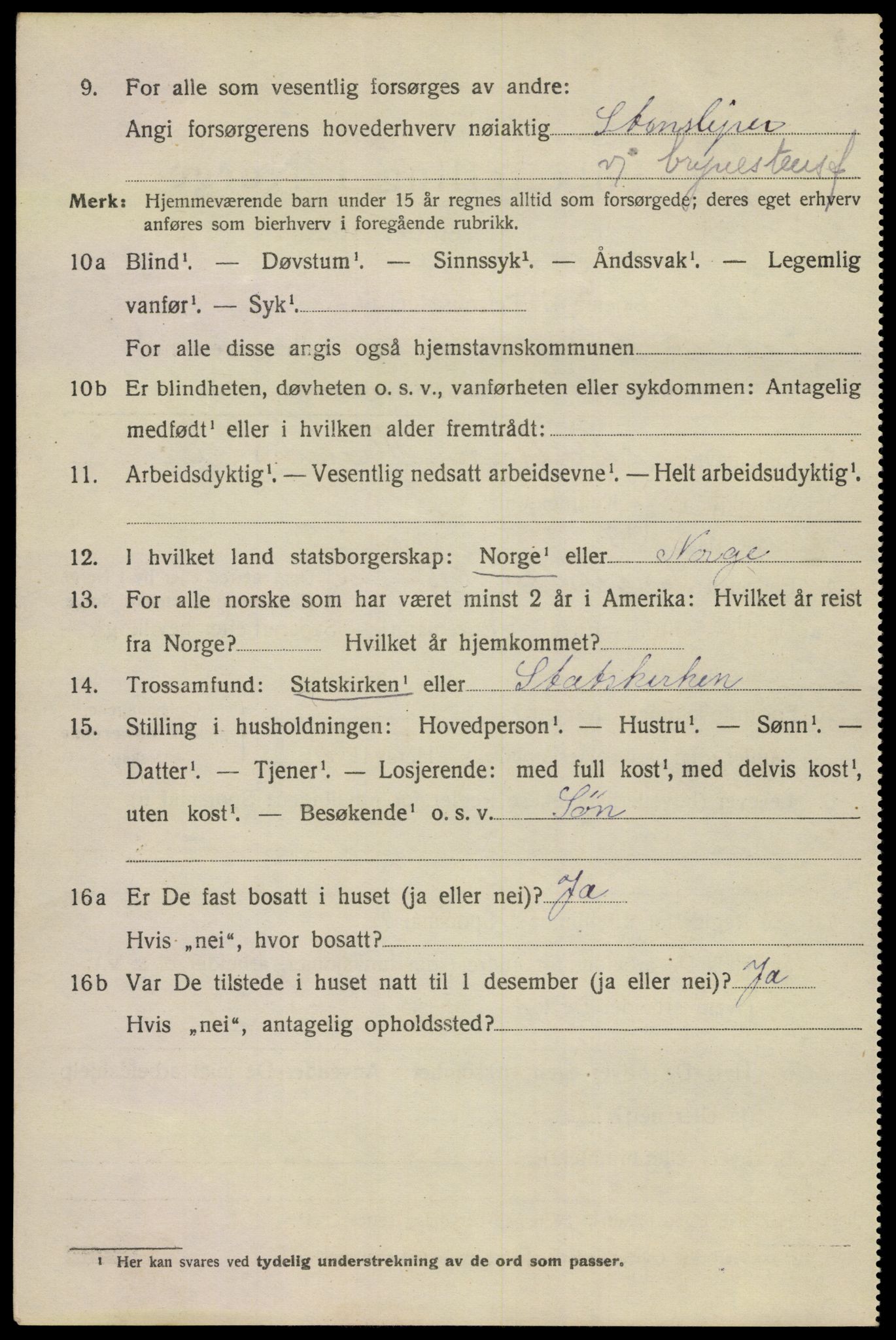SAKO, 1920 census for Porsgrunn, 1920, p. 19908