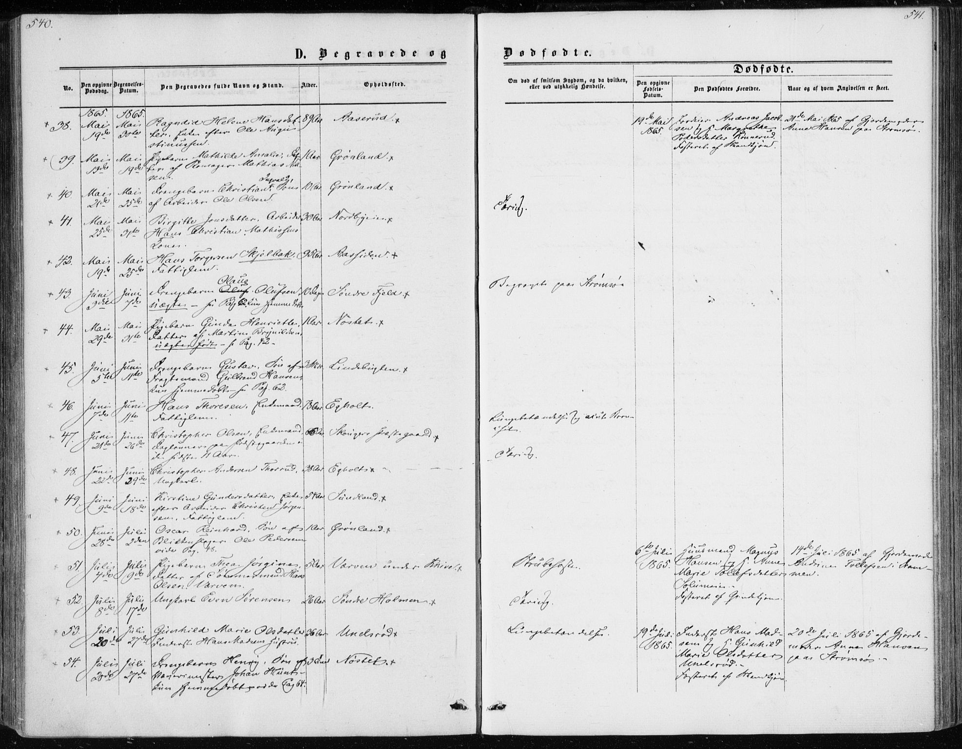 Skoger kirkebøker, SAKO/A-59/F/Fa/L0004: Parish register (official) no. I 4, 1862-1872, p. 540-541