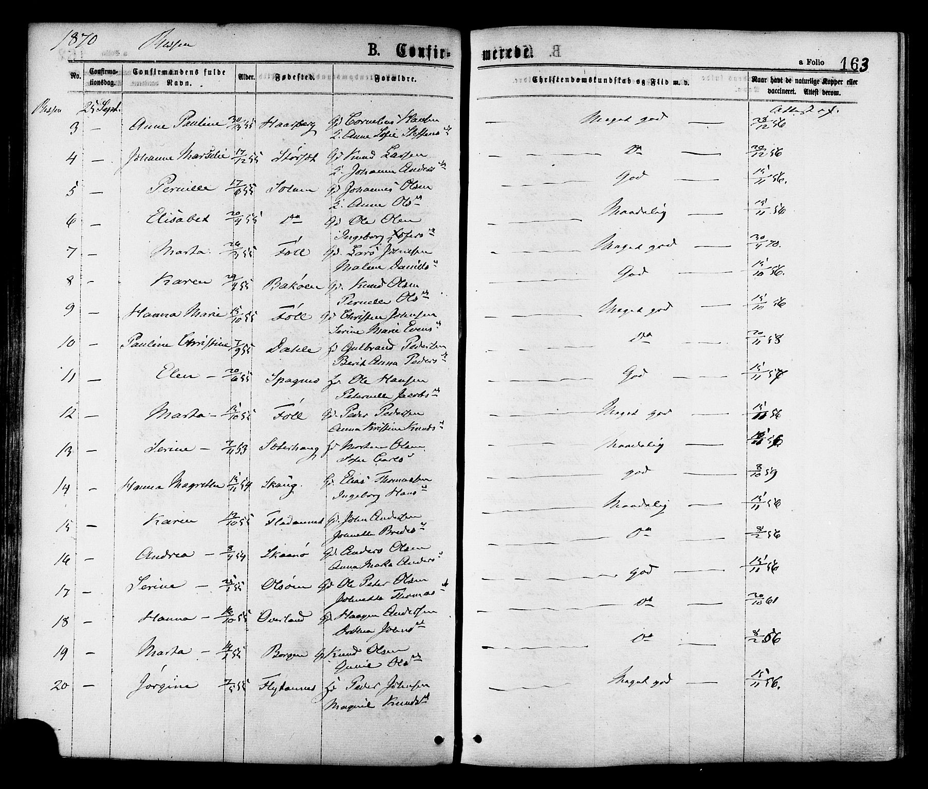 Ministerialprotokoller, klokkerbøker og fødselsregistre - Sør-Trøndelag, AV/SAT-A-1456/646/L0613: Parish register (official) no. 646A11, 1870-1884, p. 163