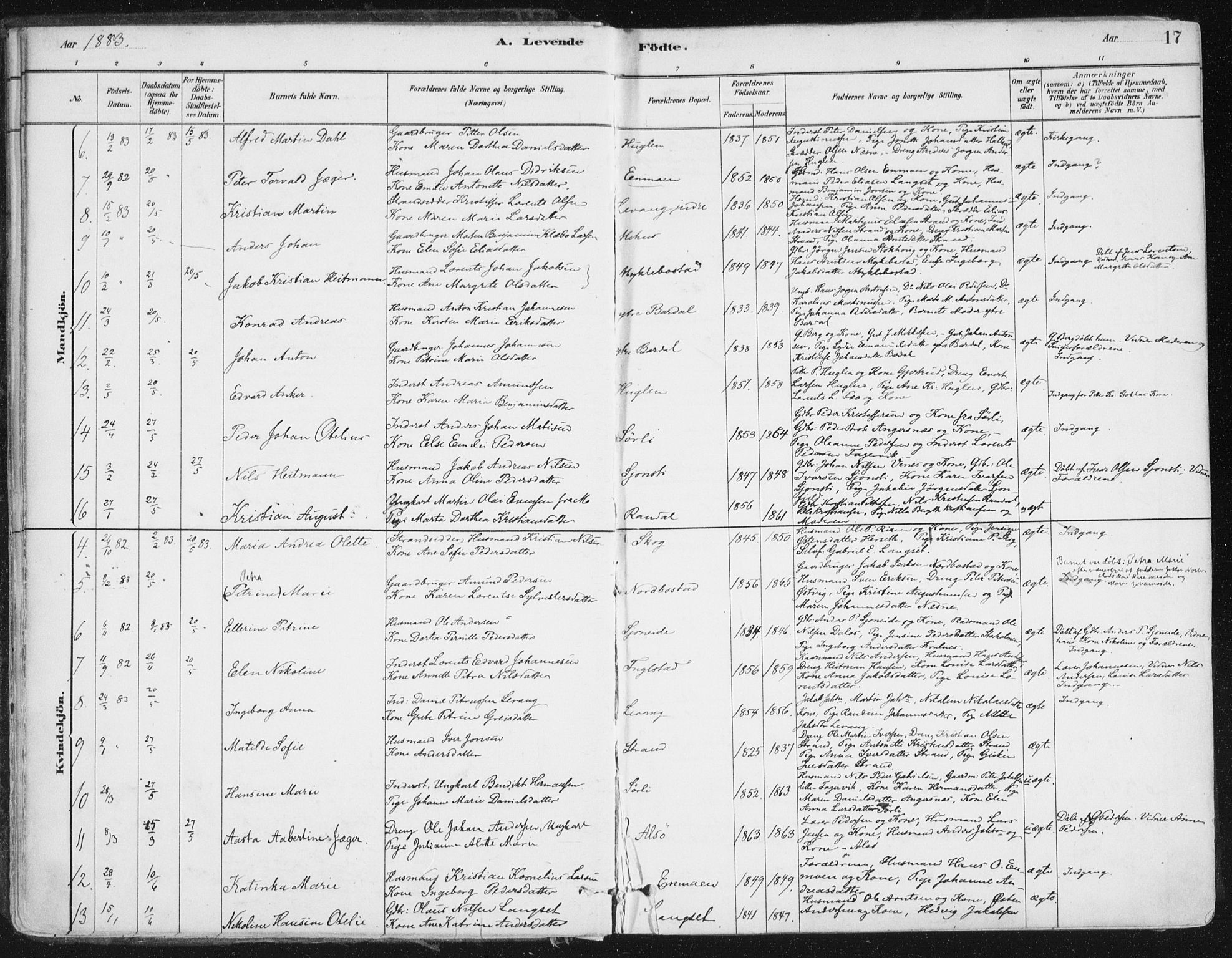 Ministerialprotokoller, klokkerbøker og fødselsregistre - Nordland, AV/SAT-A-1459/838/L0552: Parish register (official) no. 838A10, 1880-1910, p. 17