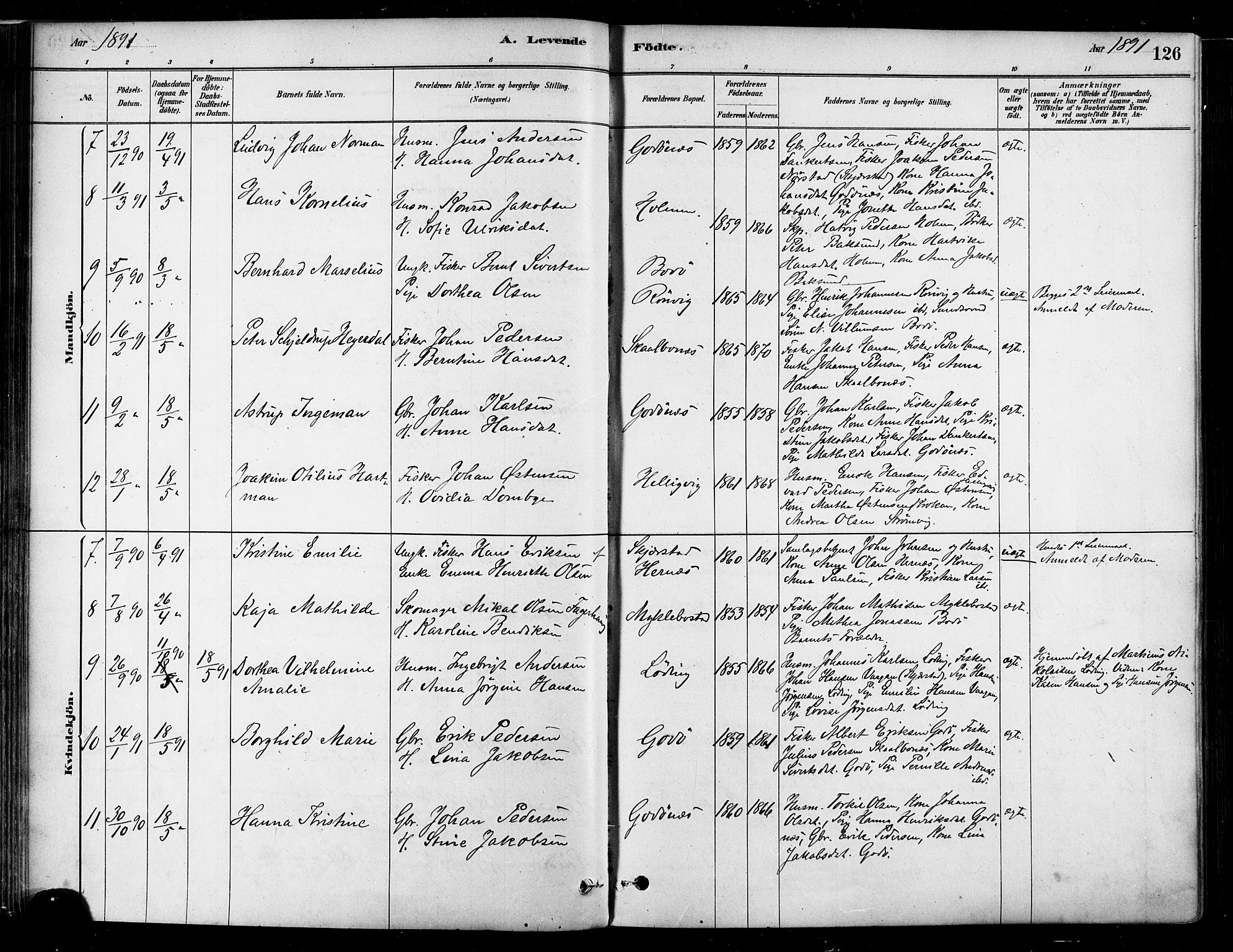 Ministerialprotokoller, klokkerbøker og fødselsregistre - Nordland, SAT/A-1459/802/L0054: Parish register (official) no. 802A01, 1879-1893, p. 126