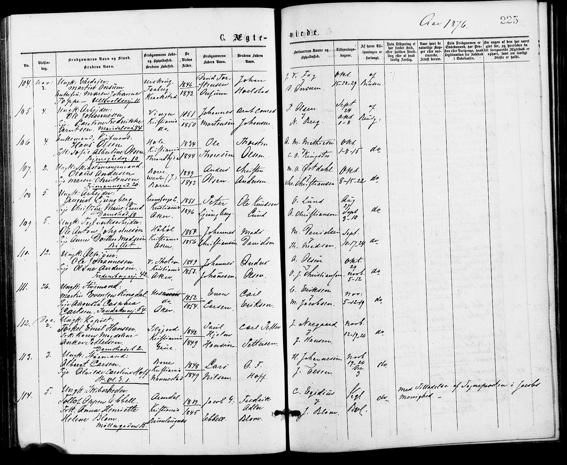 Gamle Aker prestekontor Kirkebøker, SAO/A-10617a/G/L0004: Parish register (copy) no. 4, 1875-1879, p. 225