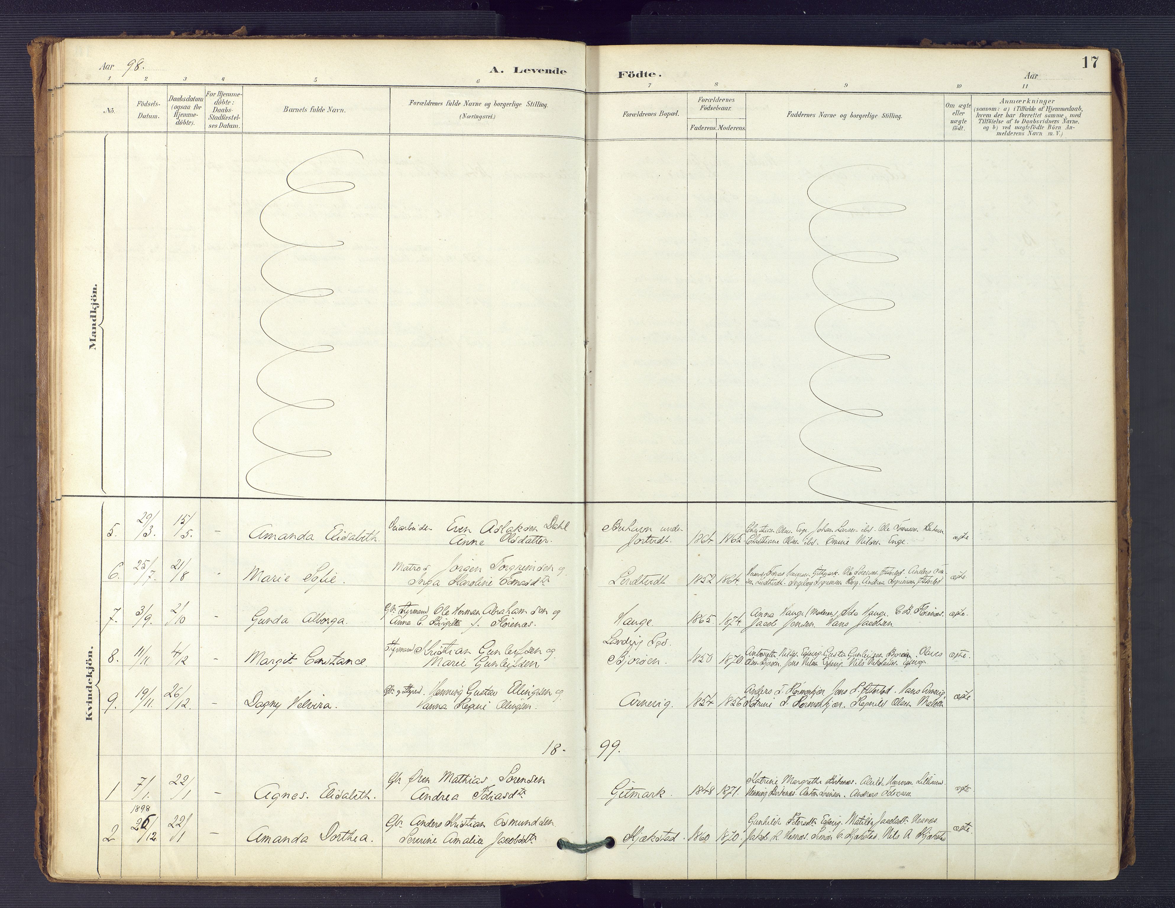 Hommedal sokneprestkontor, SAK/1111-0023/F/Fa/Faa/L0003: Parish register (official) no. A 3, 1885-1916, p. 17