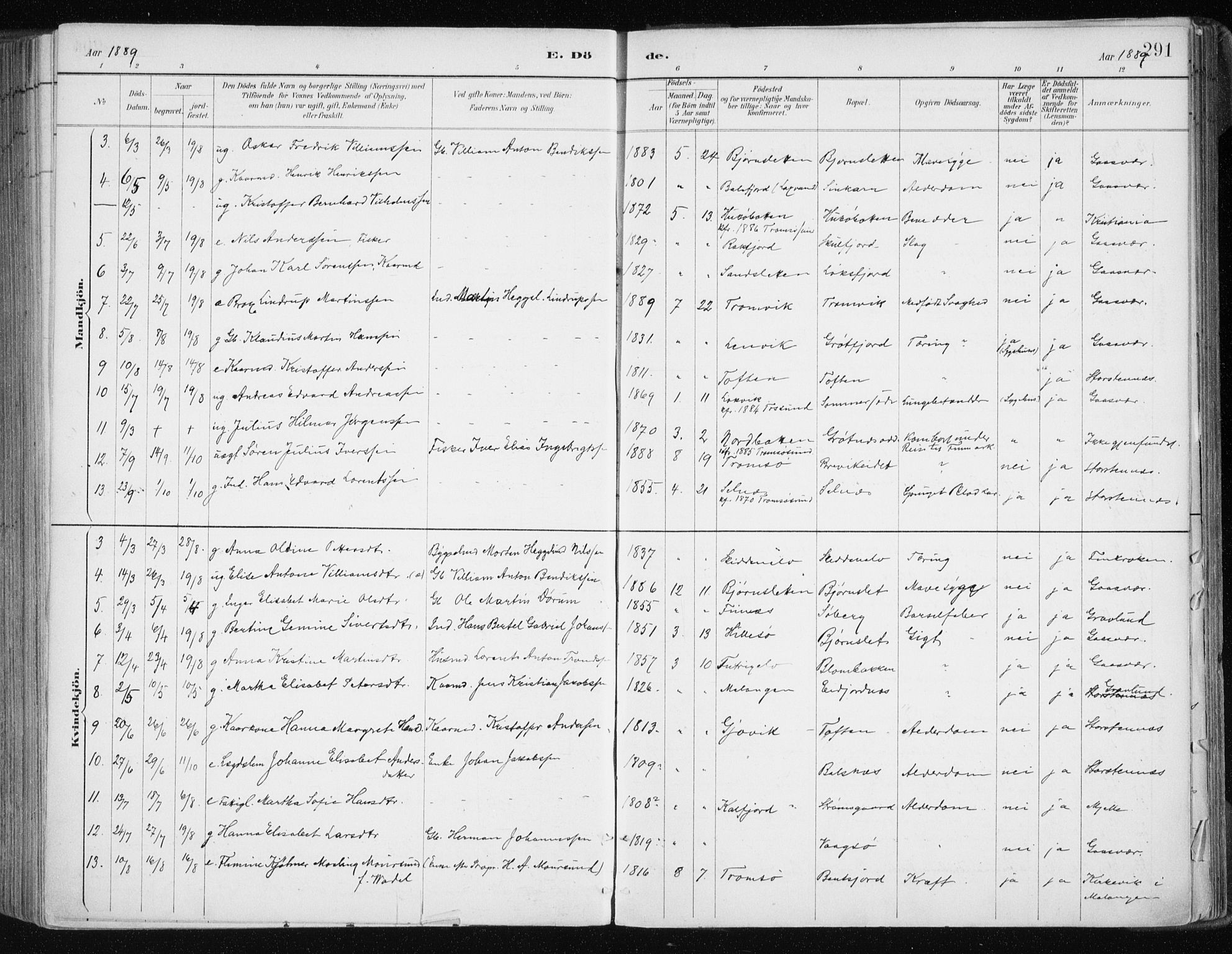 Tromsøysund sokneprestkontor, AV/SATØ-S-1304/G/Ga/L0005kirke: Parish register (official) no. 5, 1888-1896, p. 291