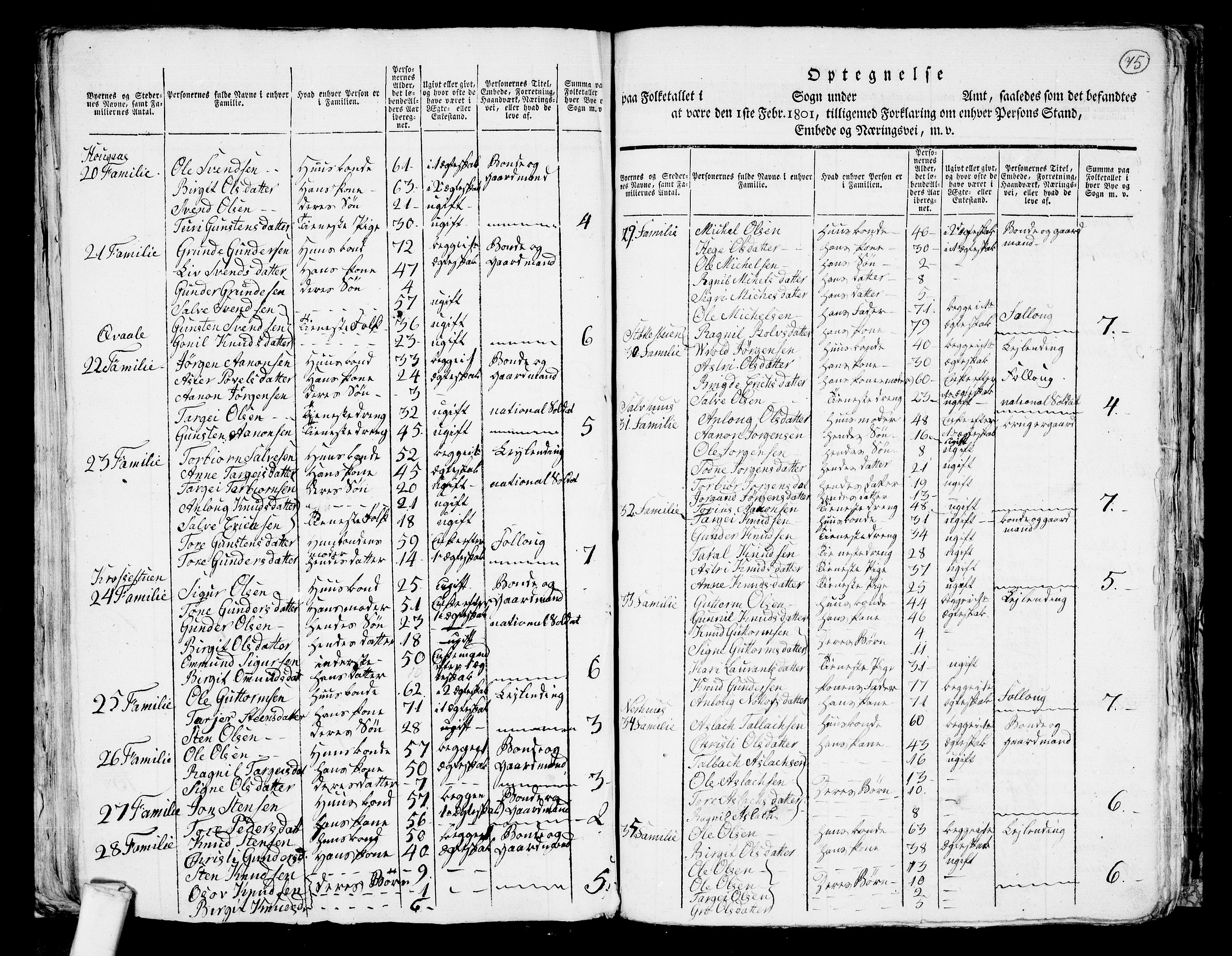 RA, 1801 census for 0938P Bygland, 1801, p. 74b-75a