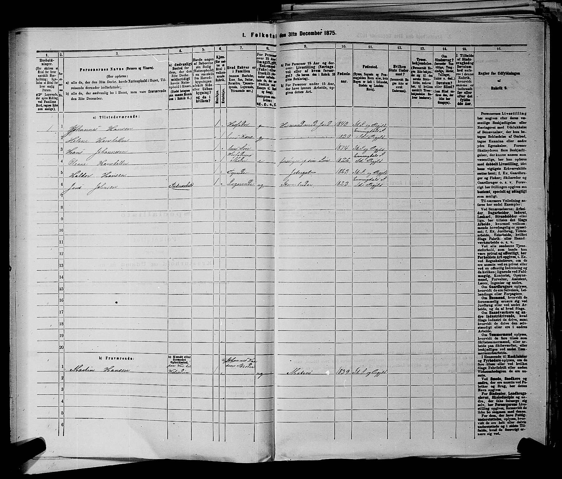 RA, 1875 census for 0117P Idd, 1875, p. 924