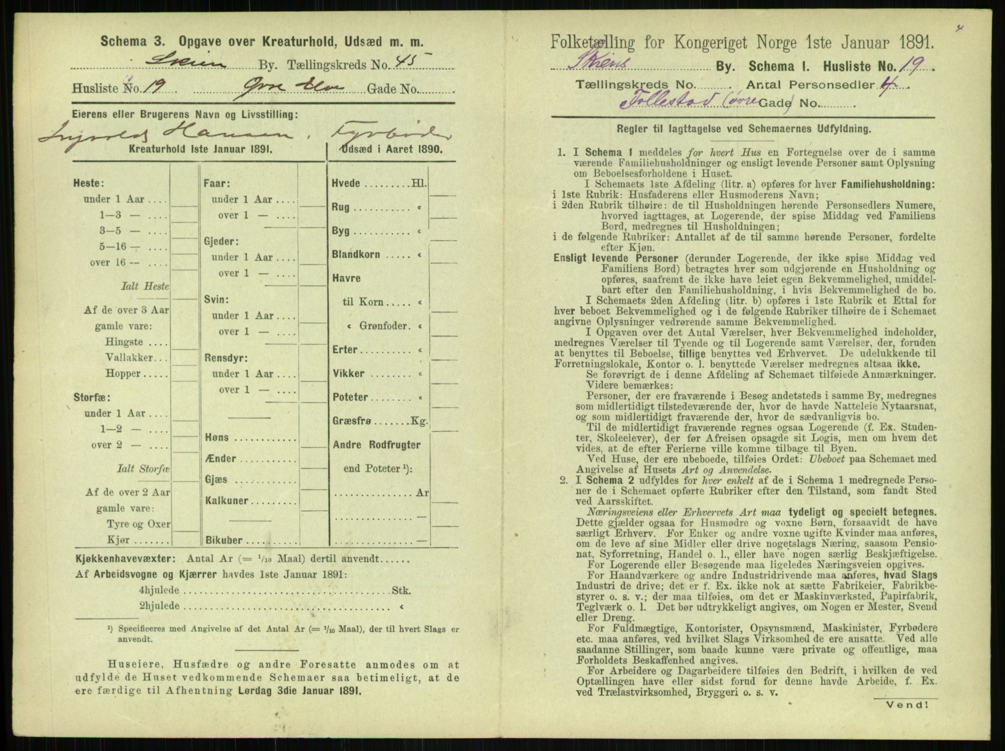 RA, 1891 census for 0806 Skien, 1891, p. 1602