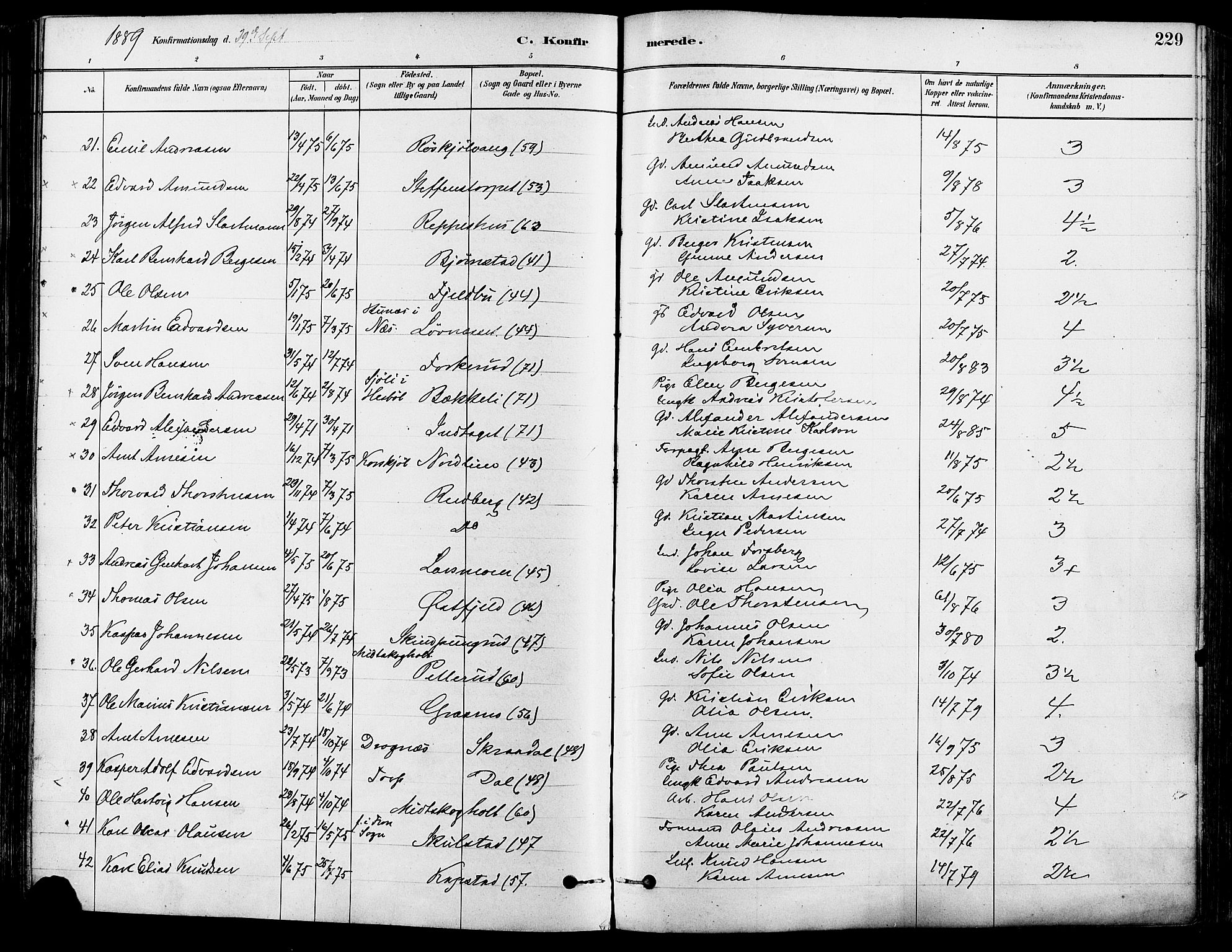 Eidskog prestekontor, AV/SAH-PREST-026/H/Ha/Haa/L0003: Parish register (official) no. 3, 1879-1892, p. 229