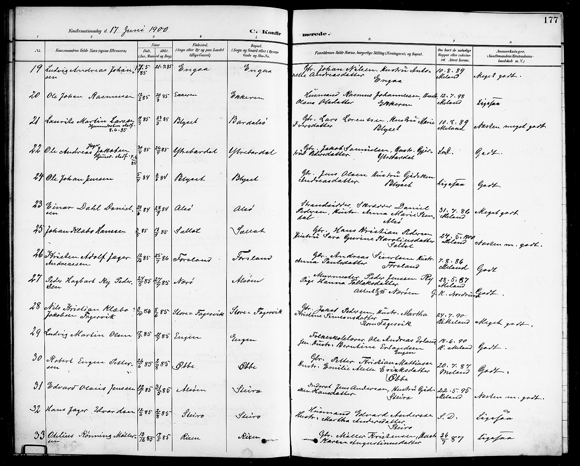 Ministerialprotokoller, klokkerbøker og fødselsregistre - Nordland, AV/SAT-A-1459/838/L0559: Parish register (copy) no. 838C06, 1893-1910, p. 177