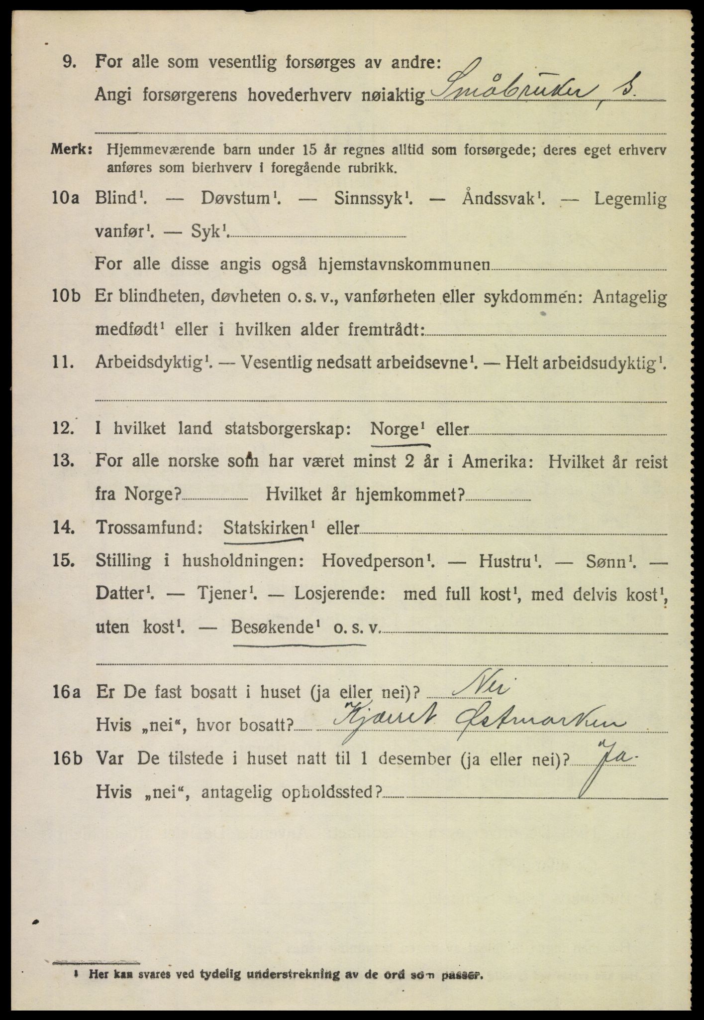 SAH, 1920 census for Vinger, 1920, p. 10031