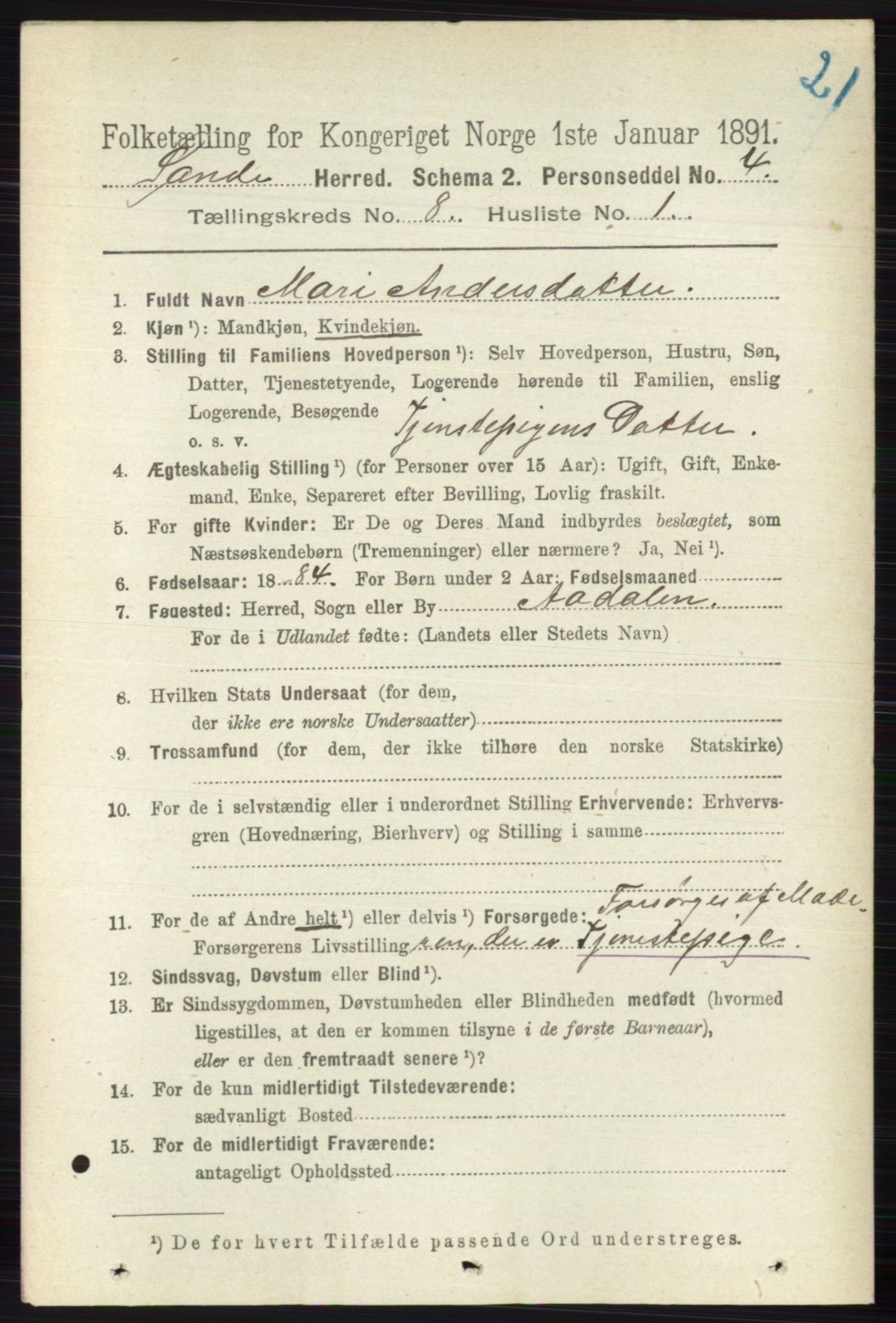 RA, 1891 census for 0713 Sande, 1891, p. 3531