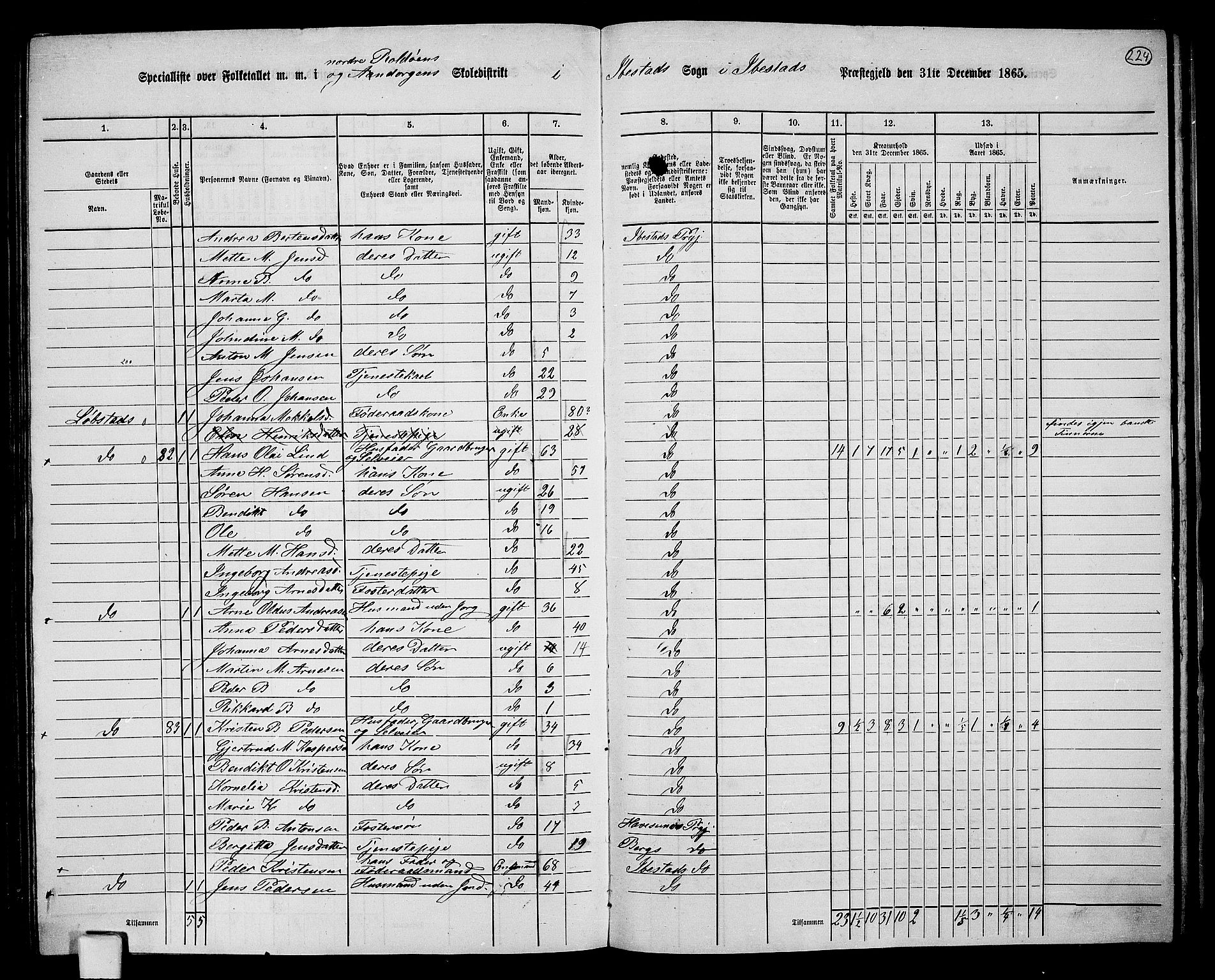 RA, 1865 census for Ibestad, 1865, p. 209