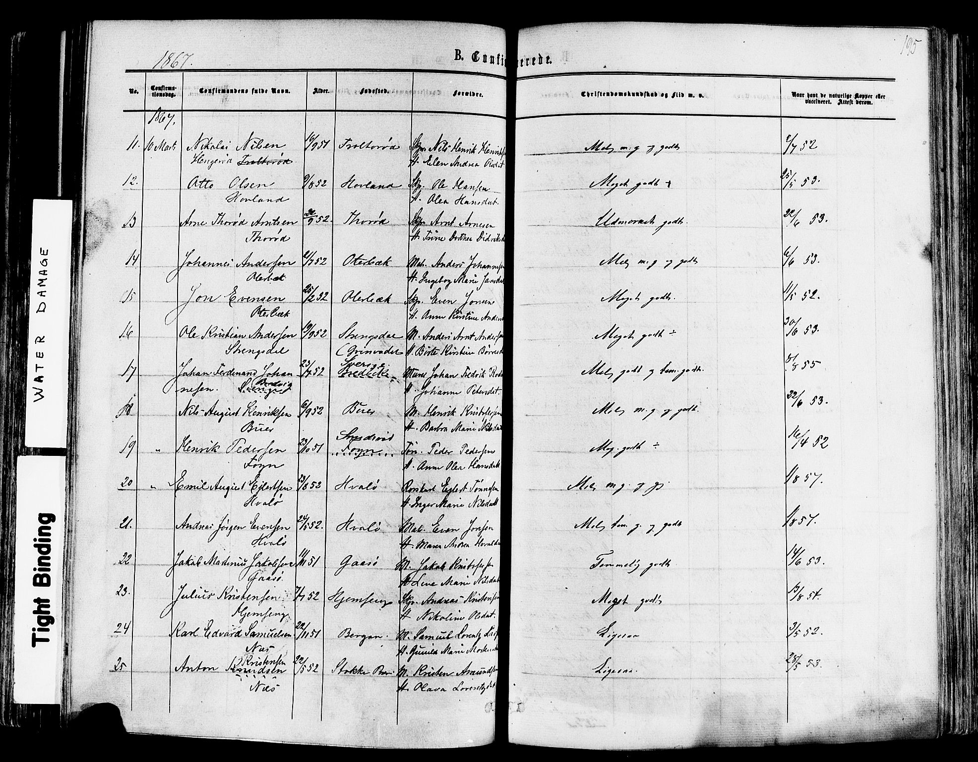 Nøtterøy kirkebøker, AV/SAKO-A-354/F/Fa/L0007: Parish register (official) no. I 7, 1865-1877, p. 195