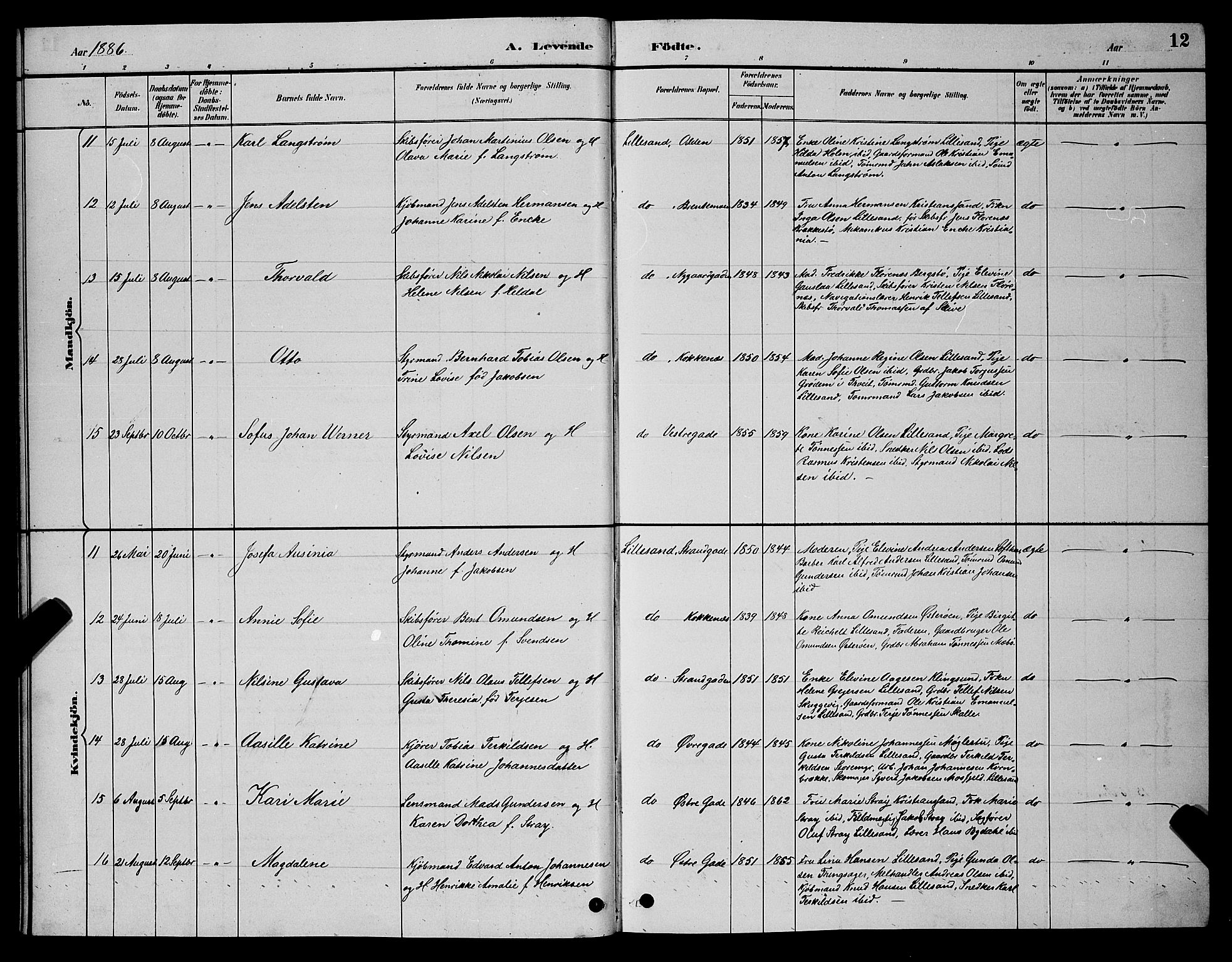 Vestre Moland sokneprestkontor, SAK/1111-0046/F/Fb/Fba/L0001: Parish register (copy) no. B 1, 1884-1903, p. 12