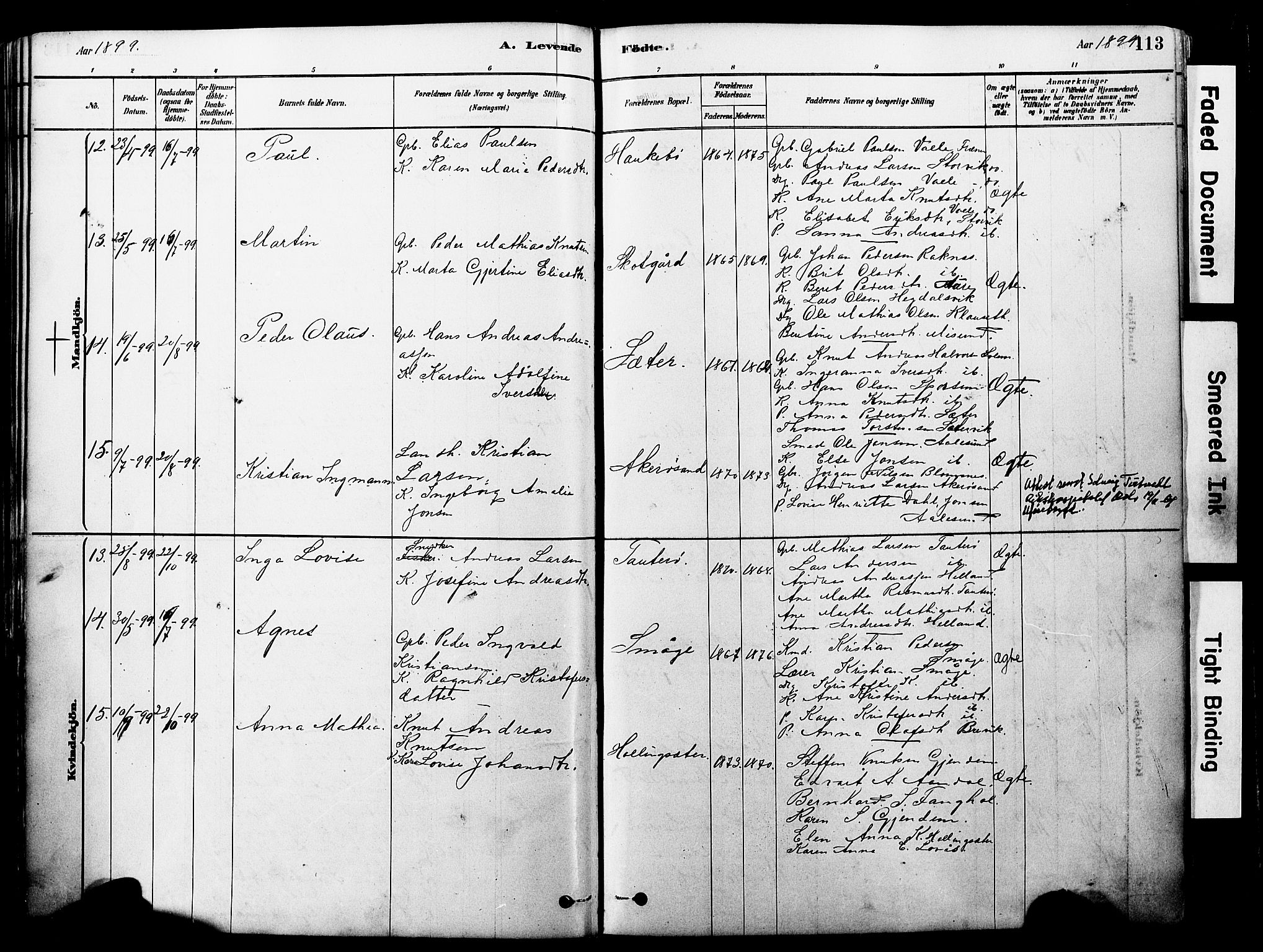 Ministerialprotokoller, klokkerbøker og fødselsregistre - Møre og Romsdal, AV/SAT-A-1454/560/L0721: Parish register (official) no. 560A05, 1878-1917, p. 113