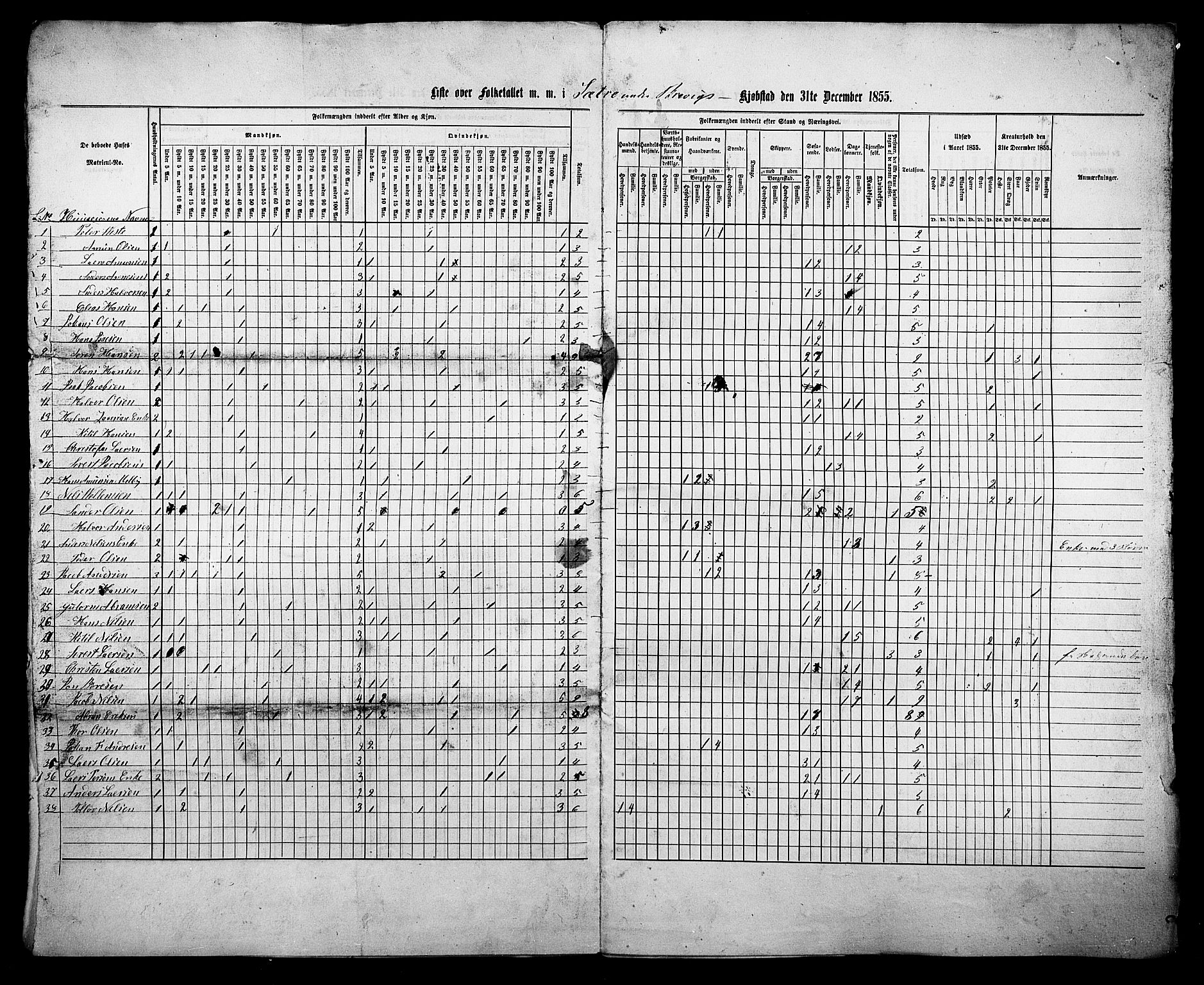 , Census 1855 for Eidanger/Brevik, 1855, p. 17