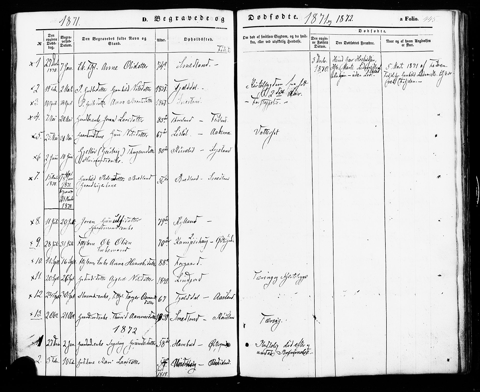 Åseral sokneprestkontor, AV/SAK-1111-0051/F/Fa/L0002: Parish register (official) no. A 2, 1854-1884, p. 445