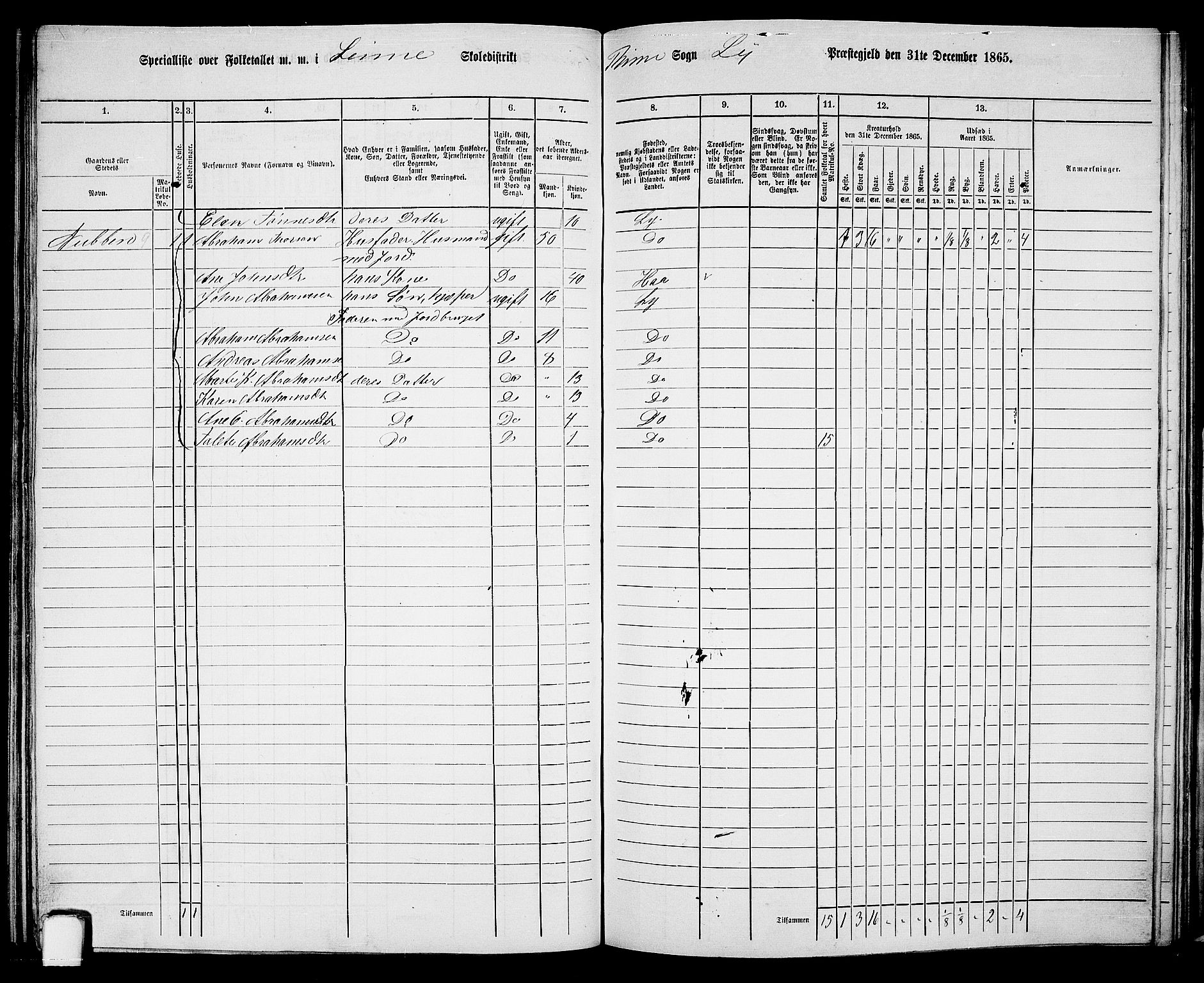 RA, 1865 census for Lye, 1865, p. 117