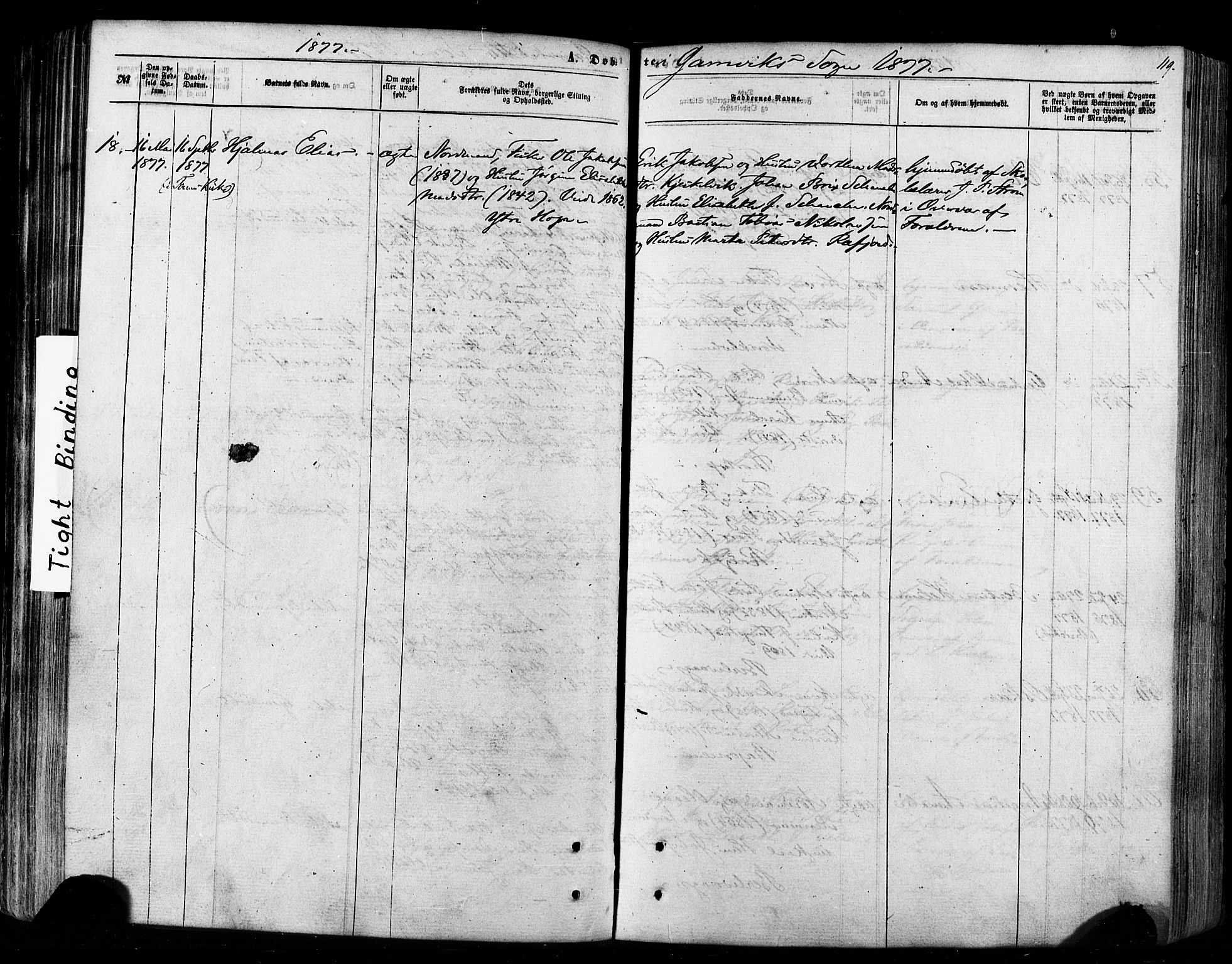 Tana sokneprestkontor, SATØ/S-1334/H/Ha/L0002kirke: Parish register (official) no. 2 /2, 1862-1877, p. 119